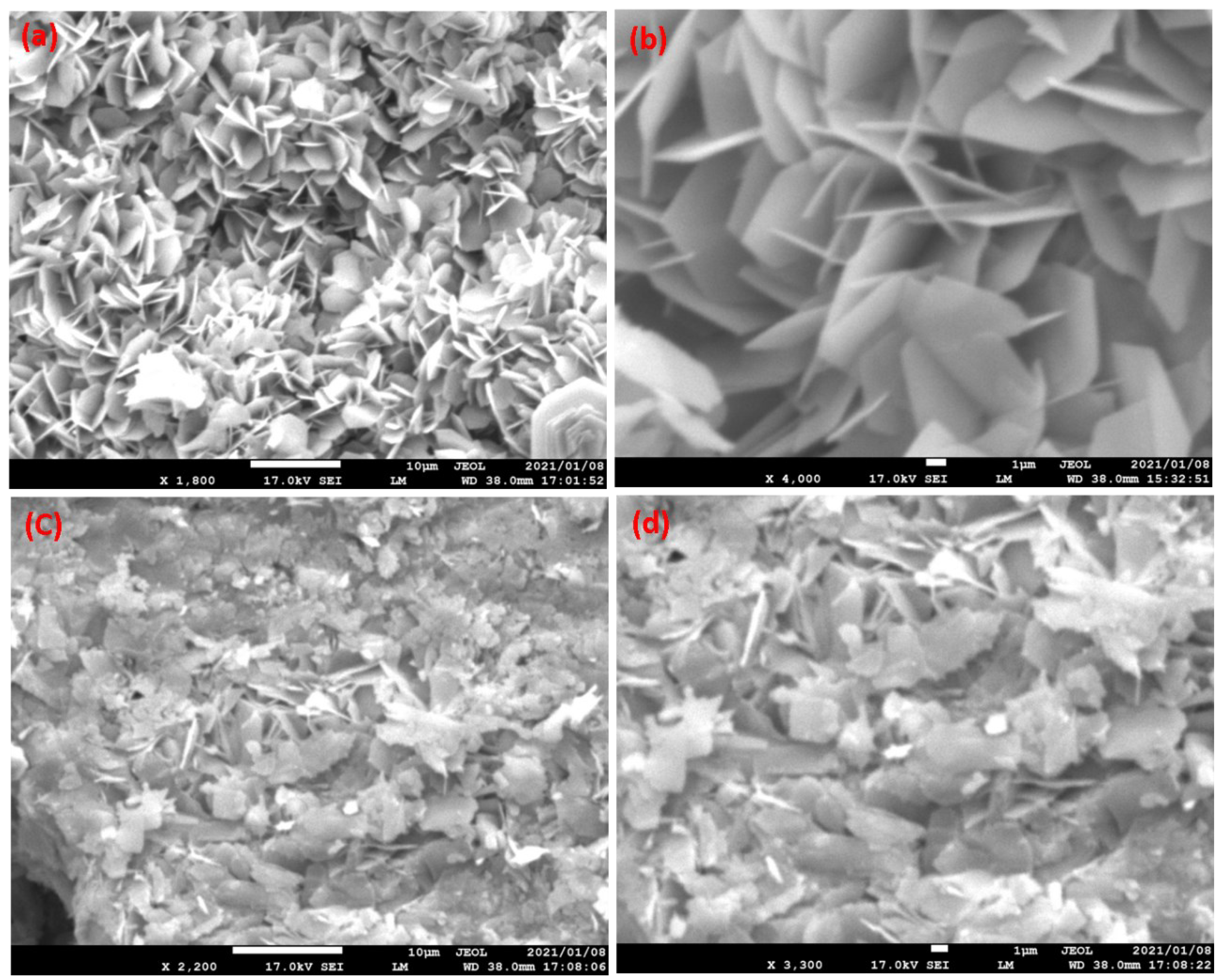 Nanomaterials 13 00338 g004