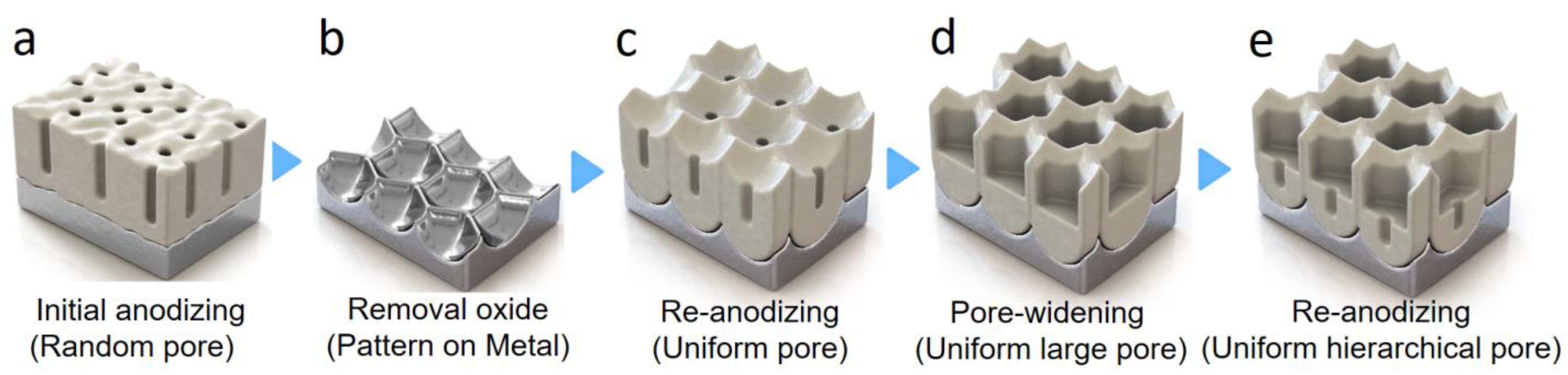 Nanomaterials 13 00342 g002