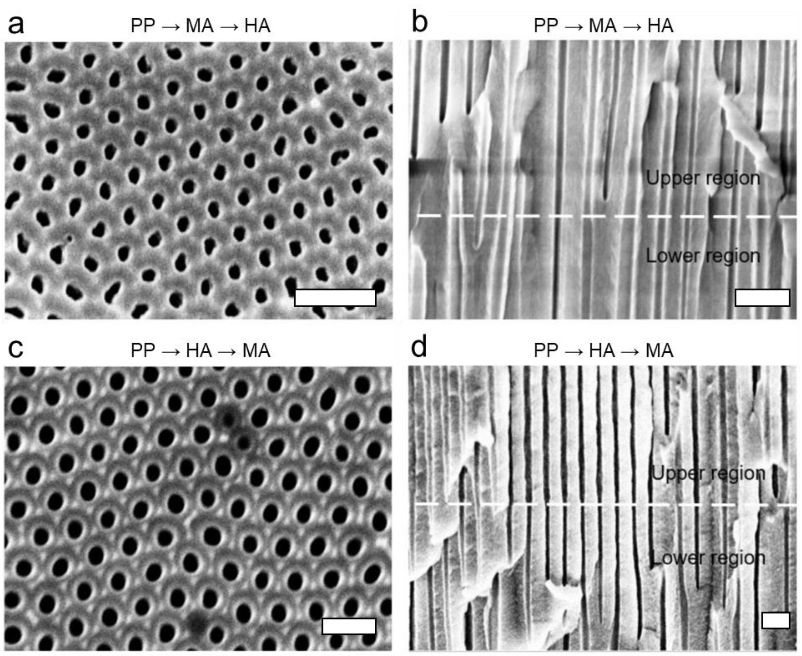 Nanomaterials 13 00342 g004
