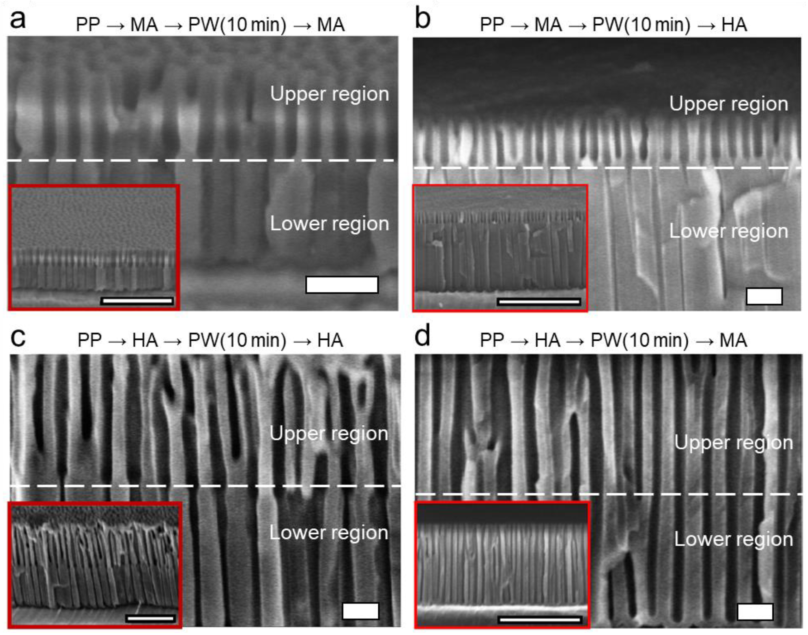 Nanomaterials 13 00342 g005