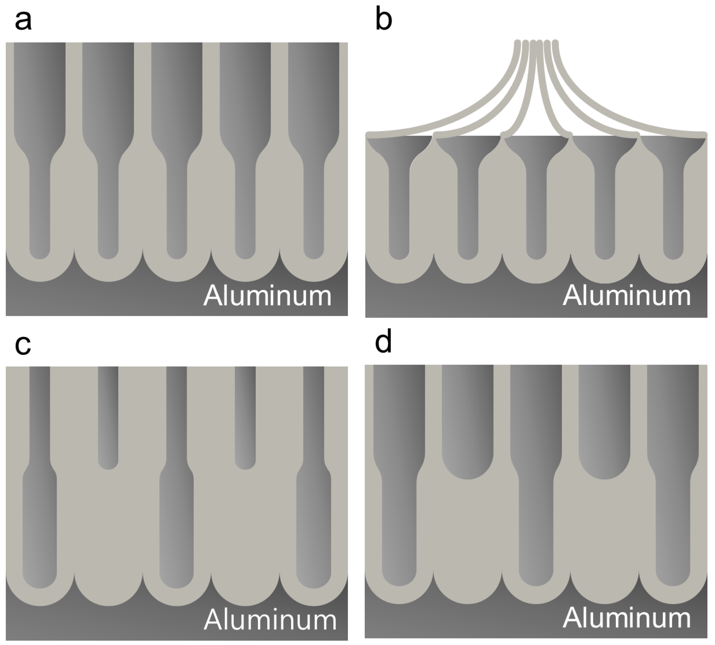 Nanomaterials 13 00342 g007