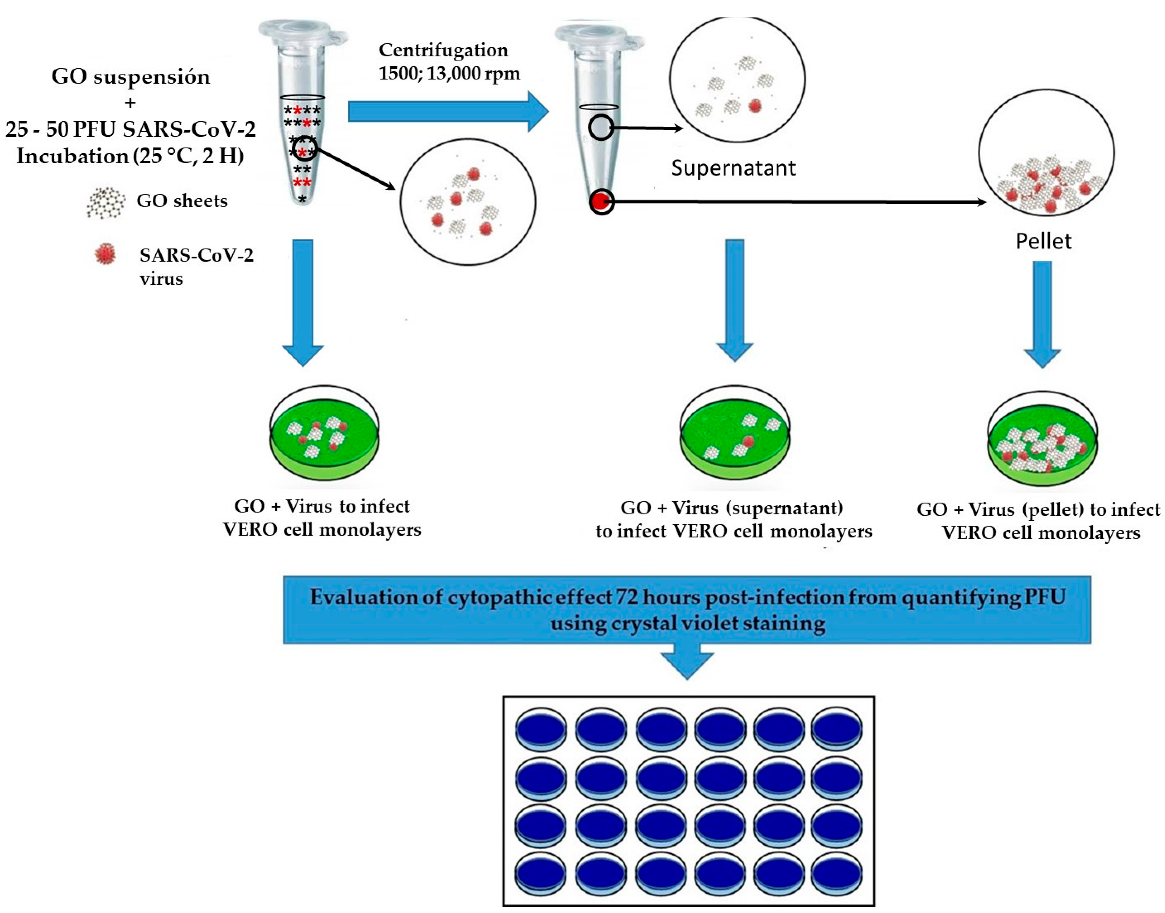 Nanomaterials 13 00343 g001