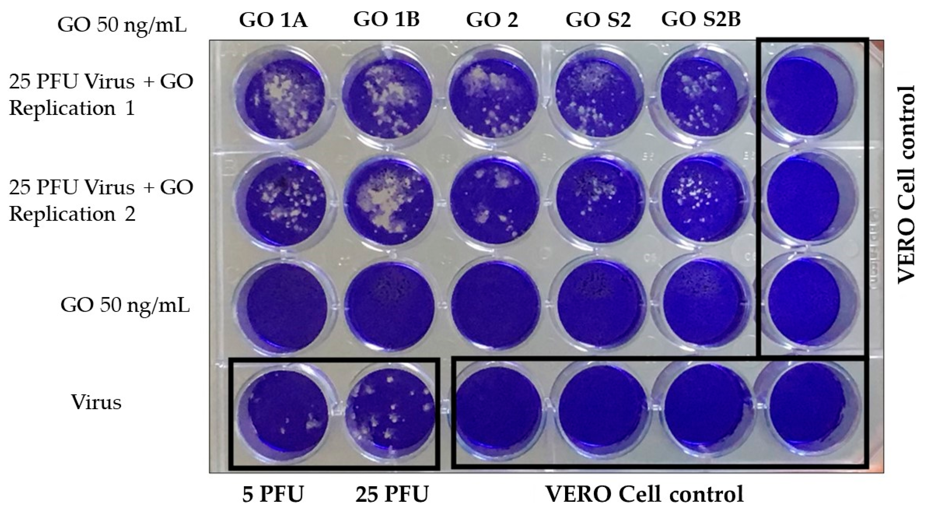 Nanomaterials 13 00343 g004