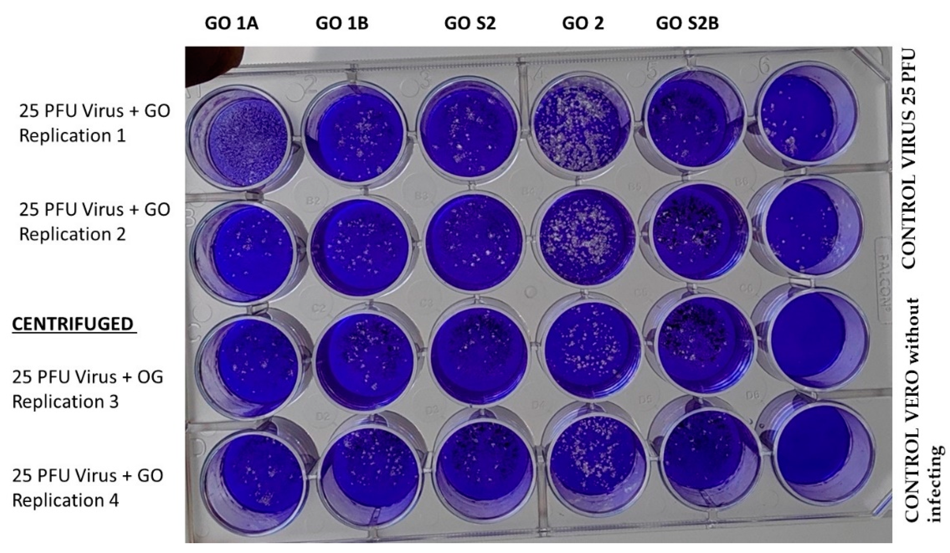 Nanomaterials 13 00343 g005