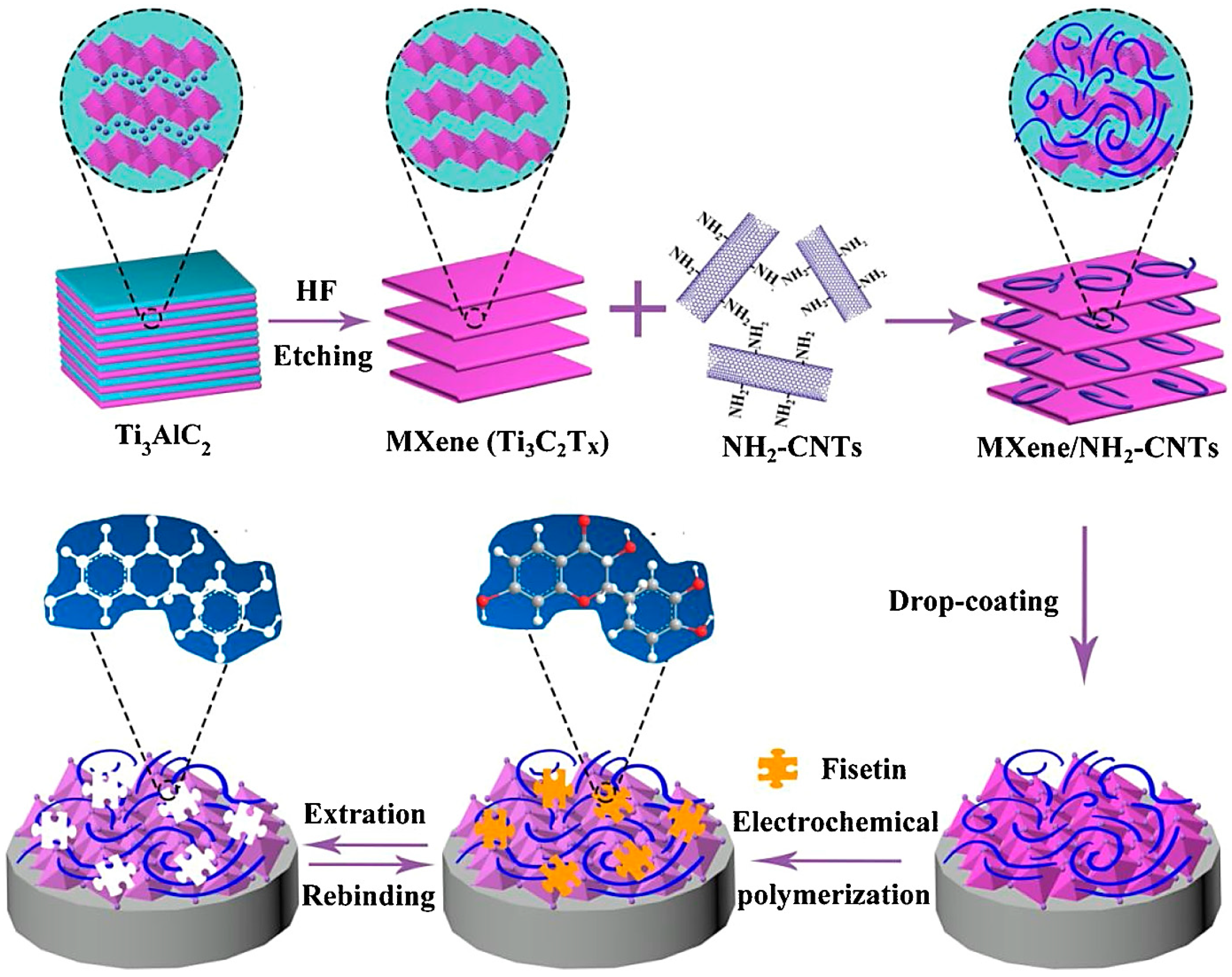 Nanomaterials 13 00345 g002