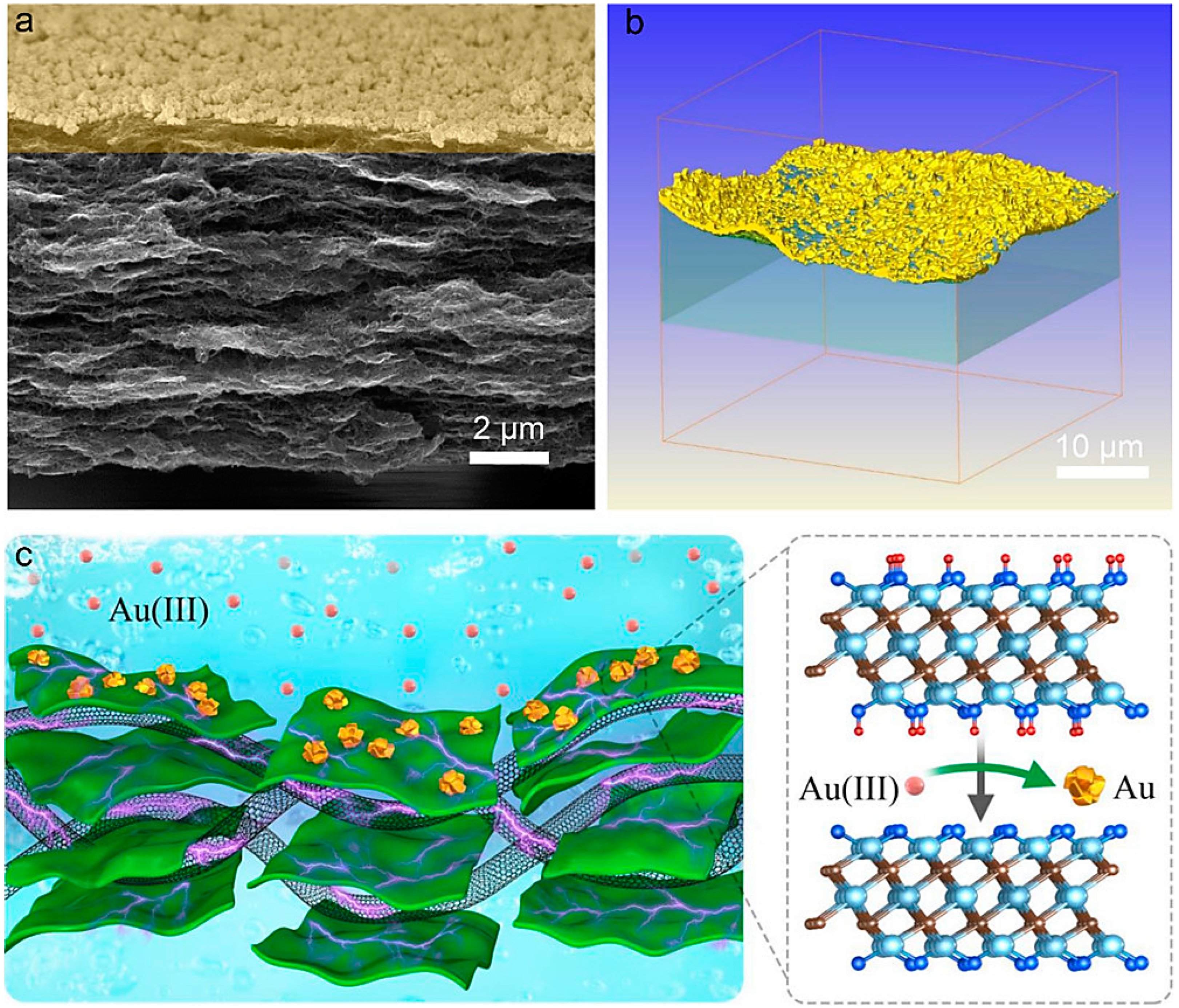 Nanomaterials 13 00345 g005