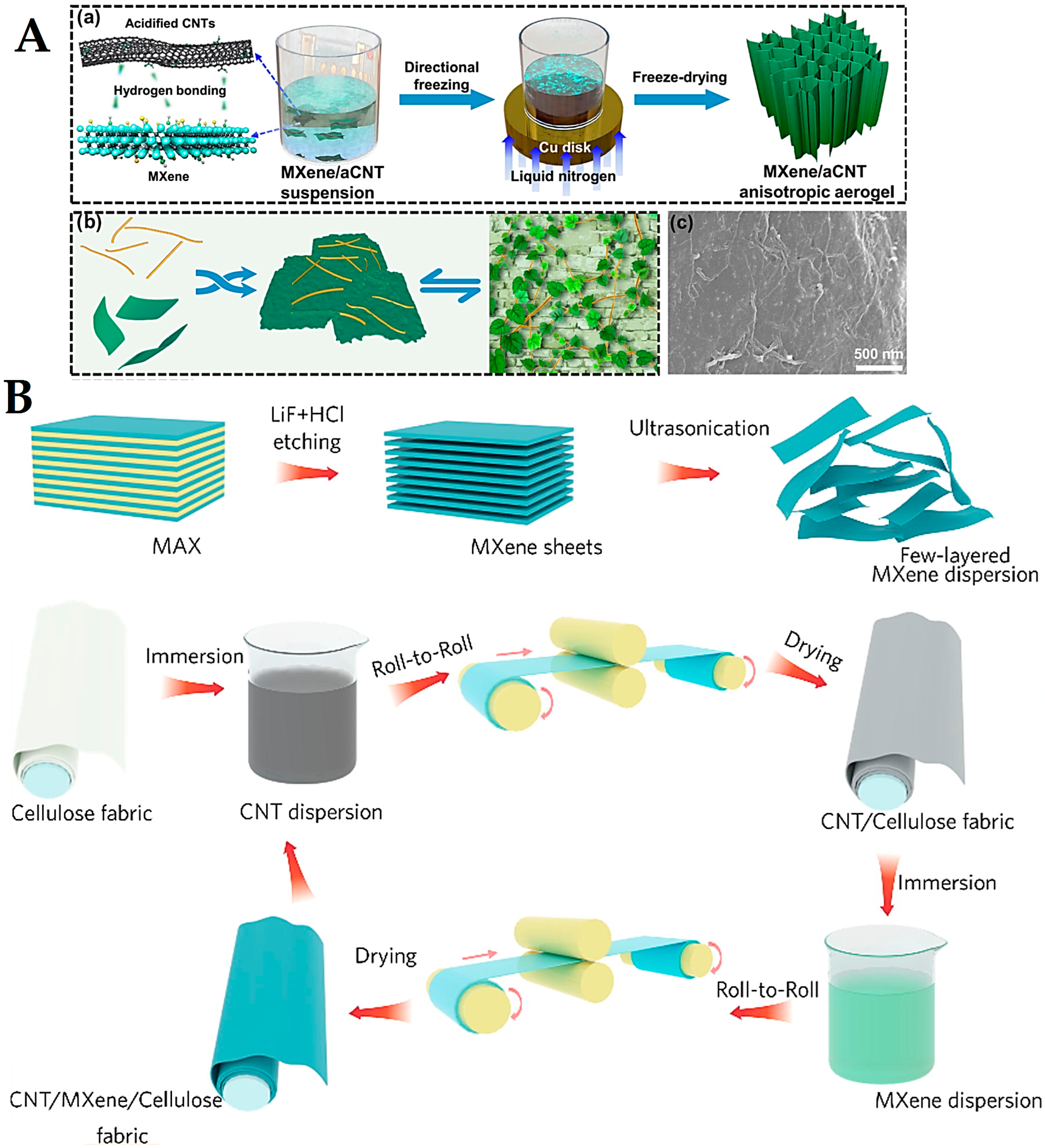 Nanomaterials 13 00345 g006