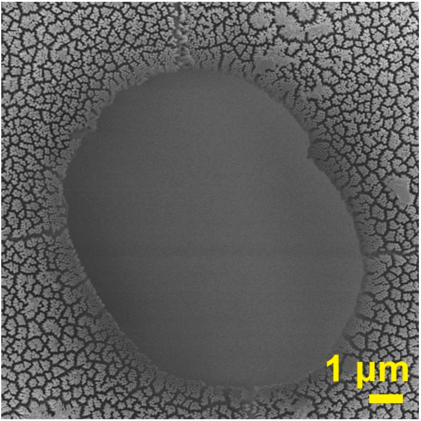 Nanomaterials 13 00346 g004