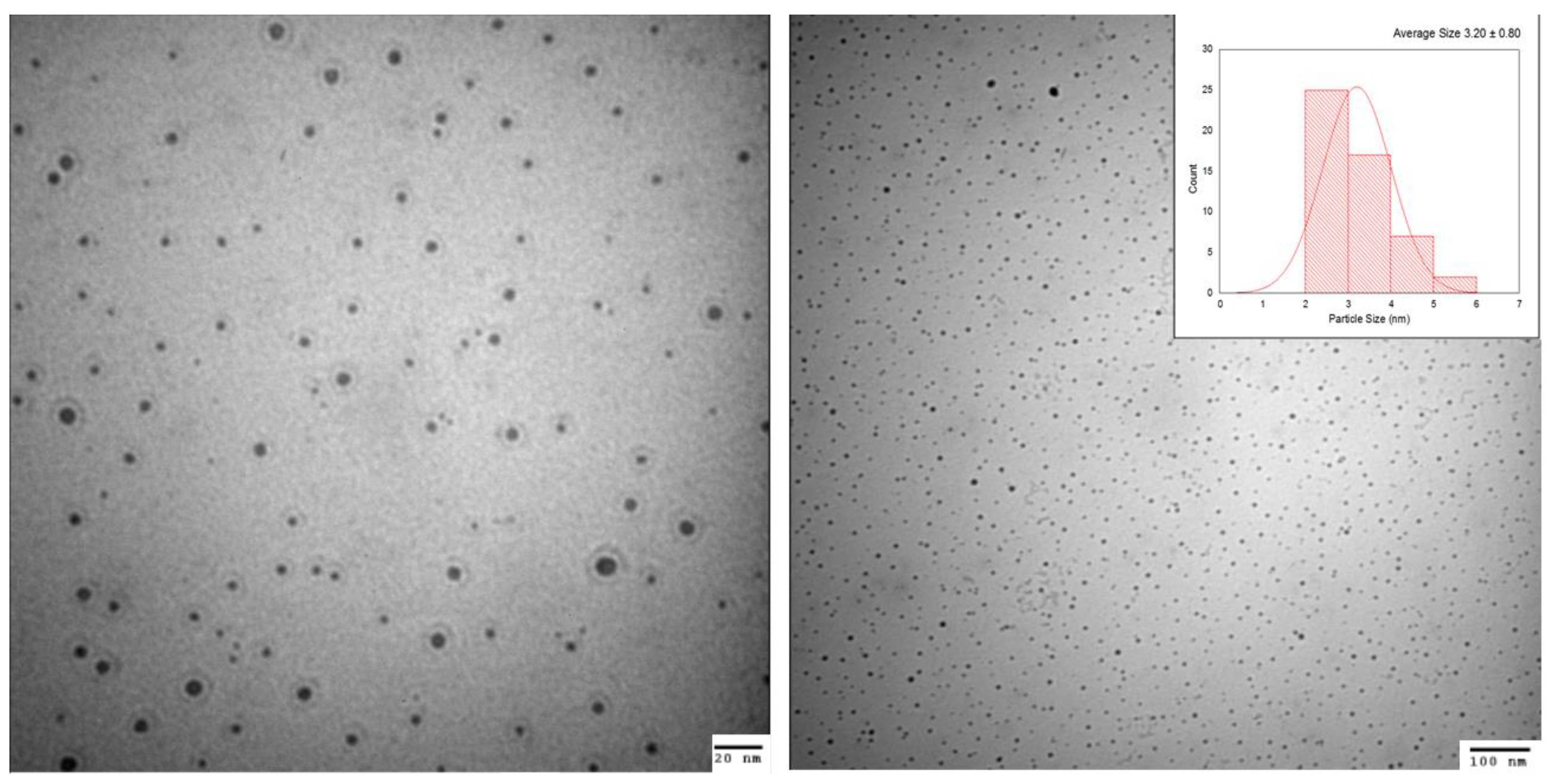 Nanomaterials 13 00348 g001