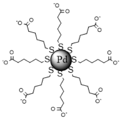 Nanomaterials 13 00348 i005