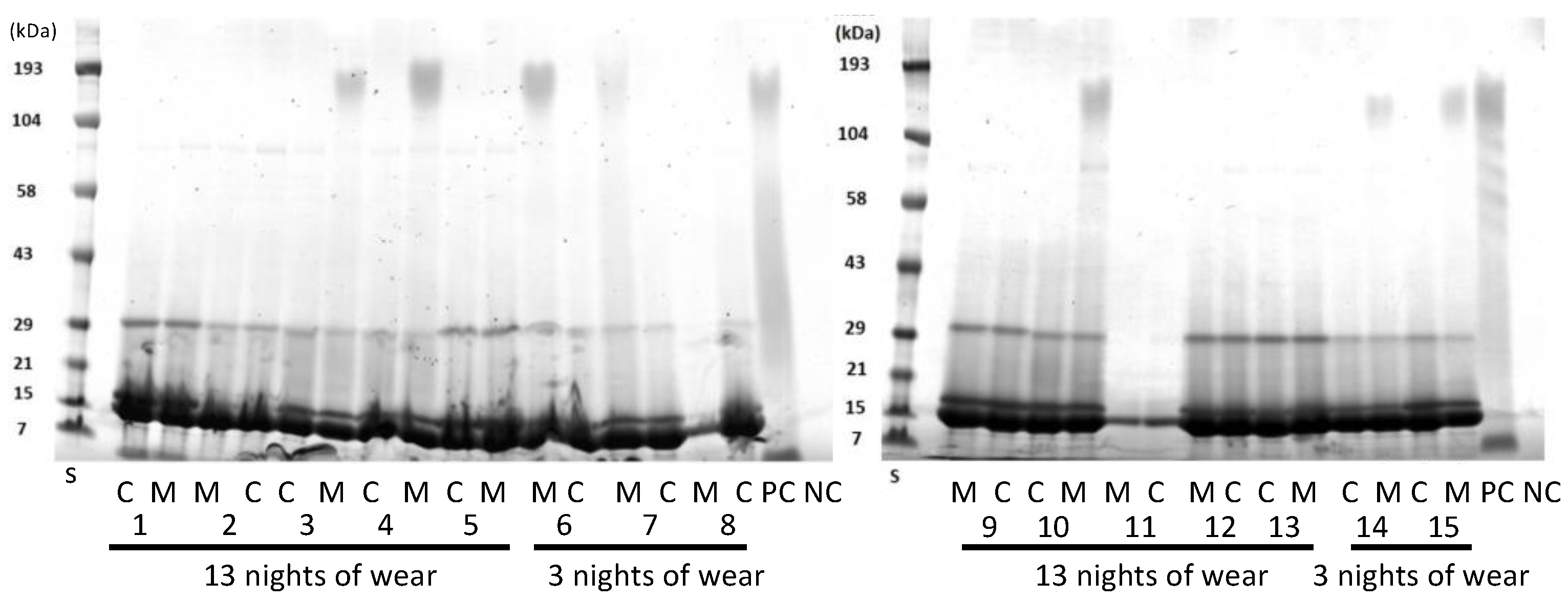 Nanomaterials 13 00349 g003