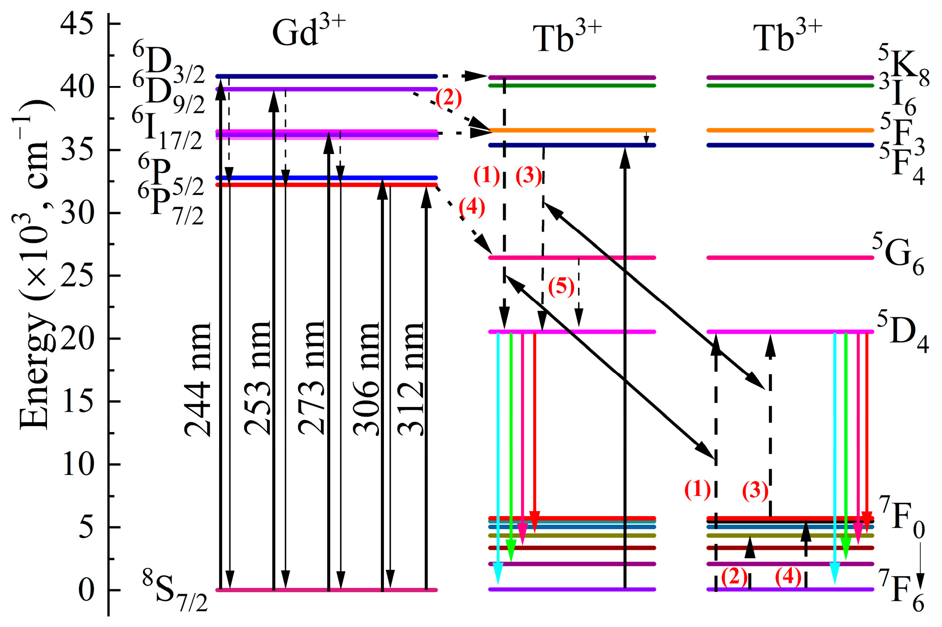 Nanomaterials 13 00351 g005