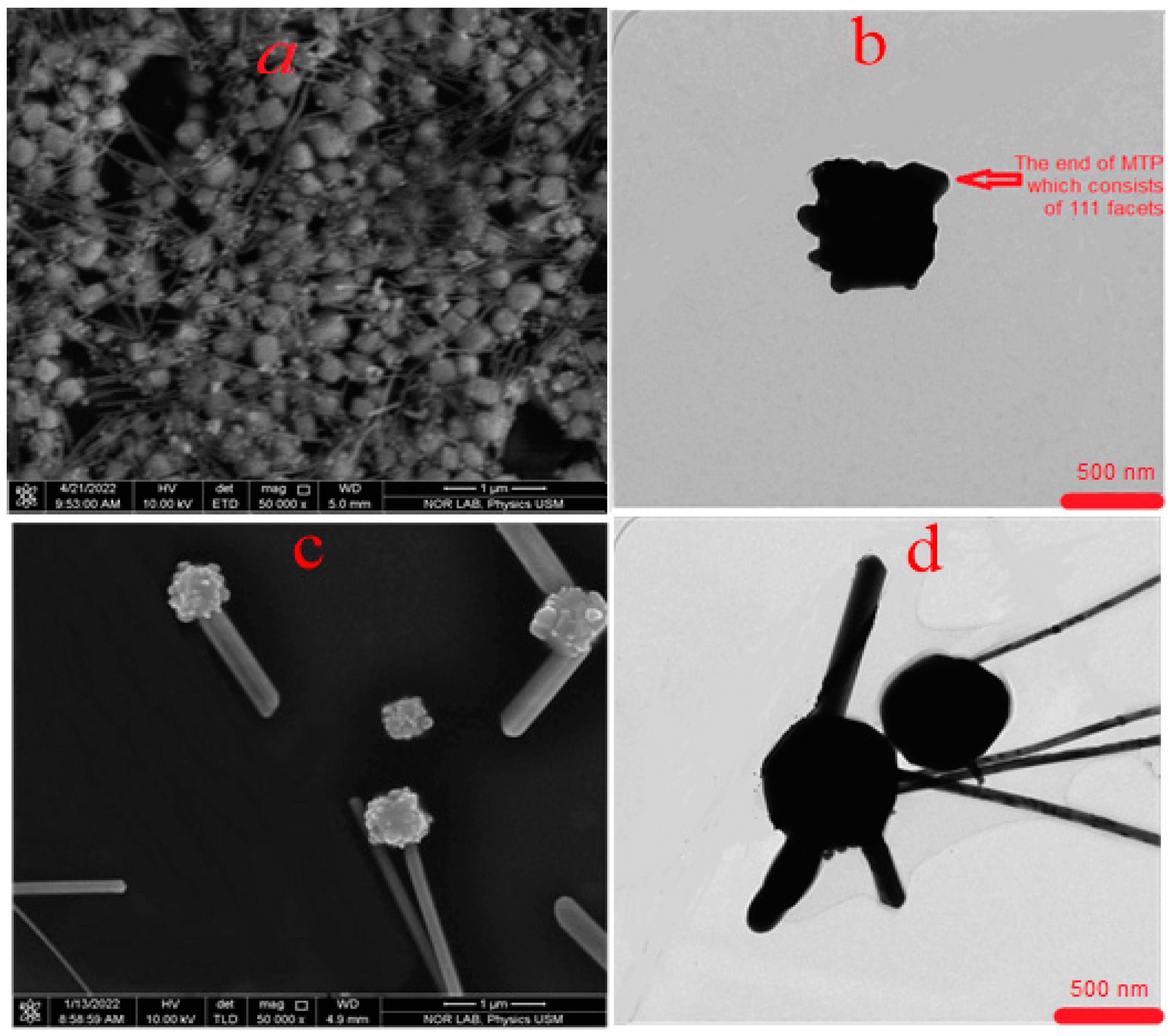 Nanomaterials 13 00353 g006 Nanomaterials 13 00353 g006