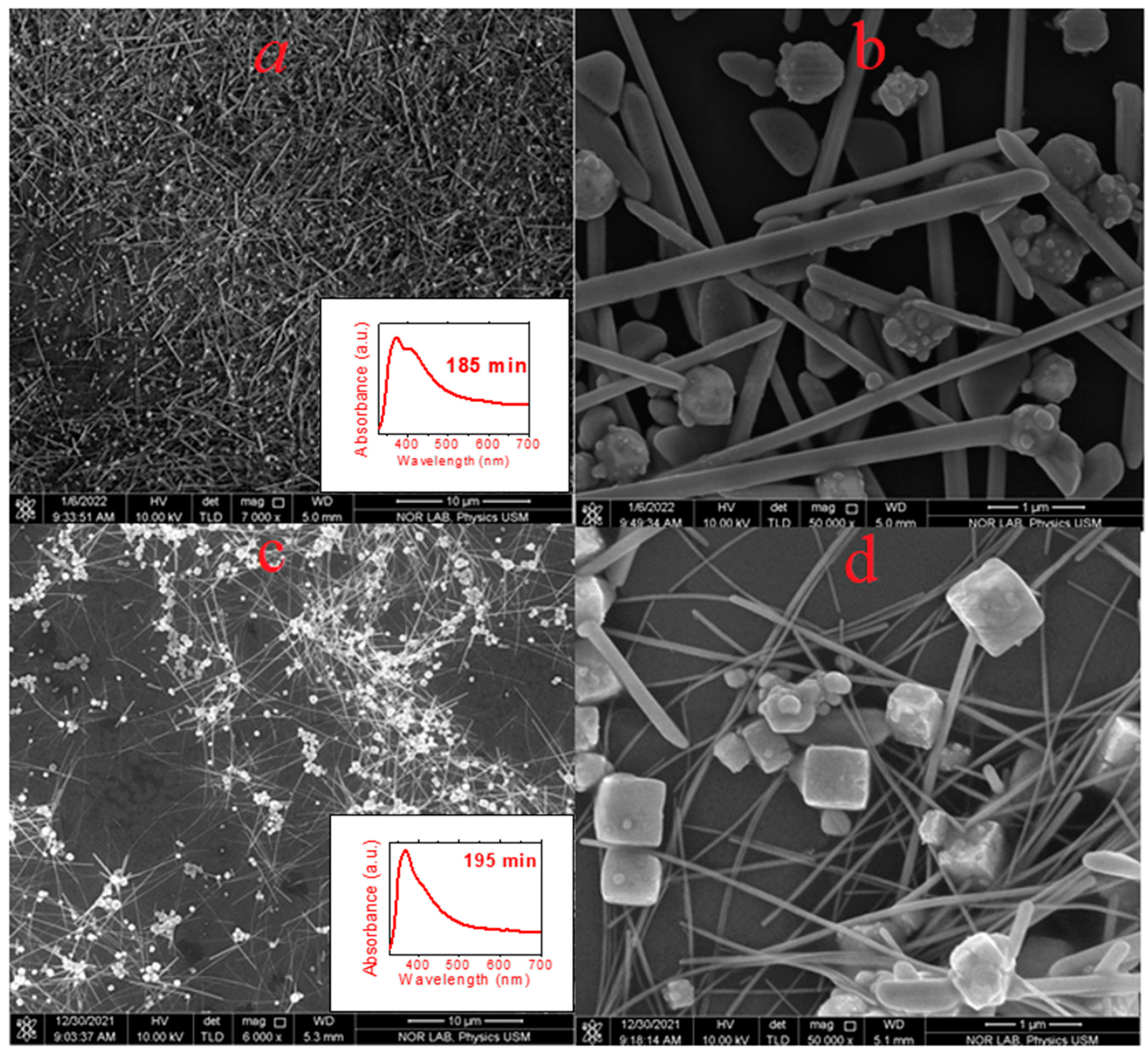 Nanomaterials 13 00353 g007 Nanomaterials 13 00353 g007