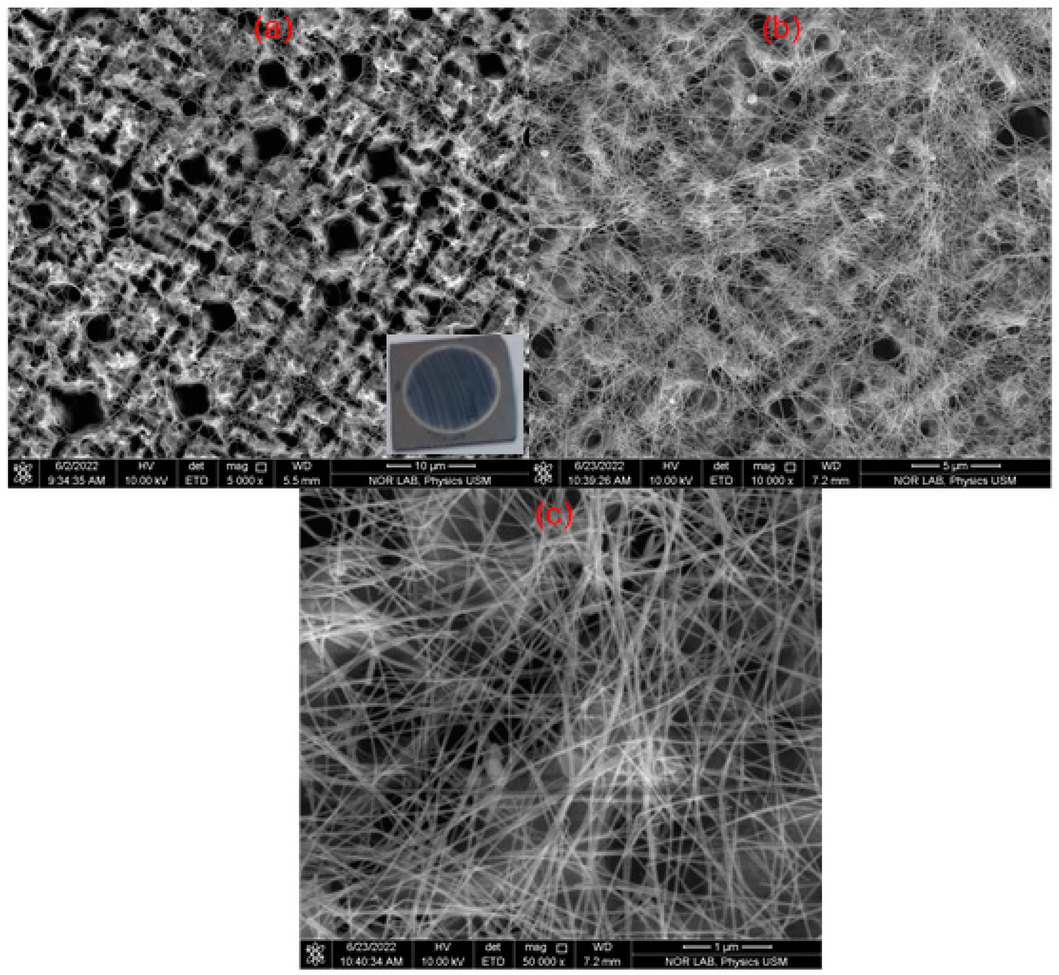 Nanomaterials 13 00353 g011 Nanomaterials 13 00353 g011