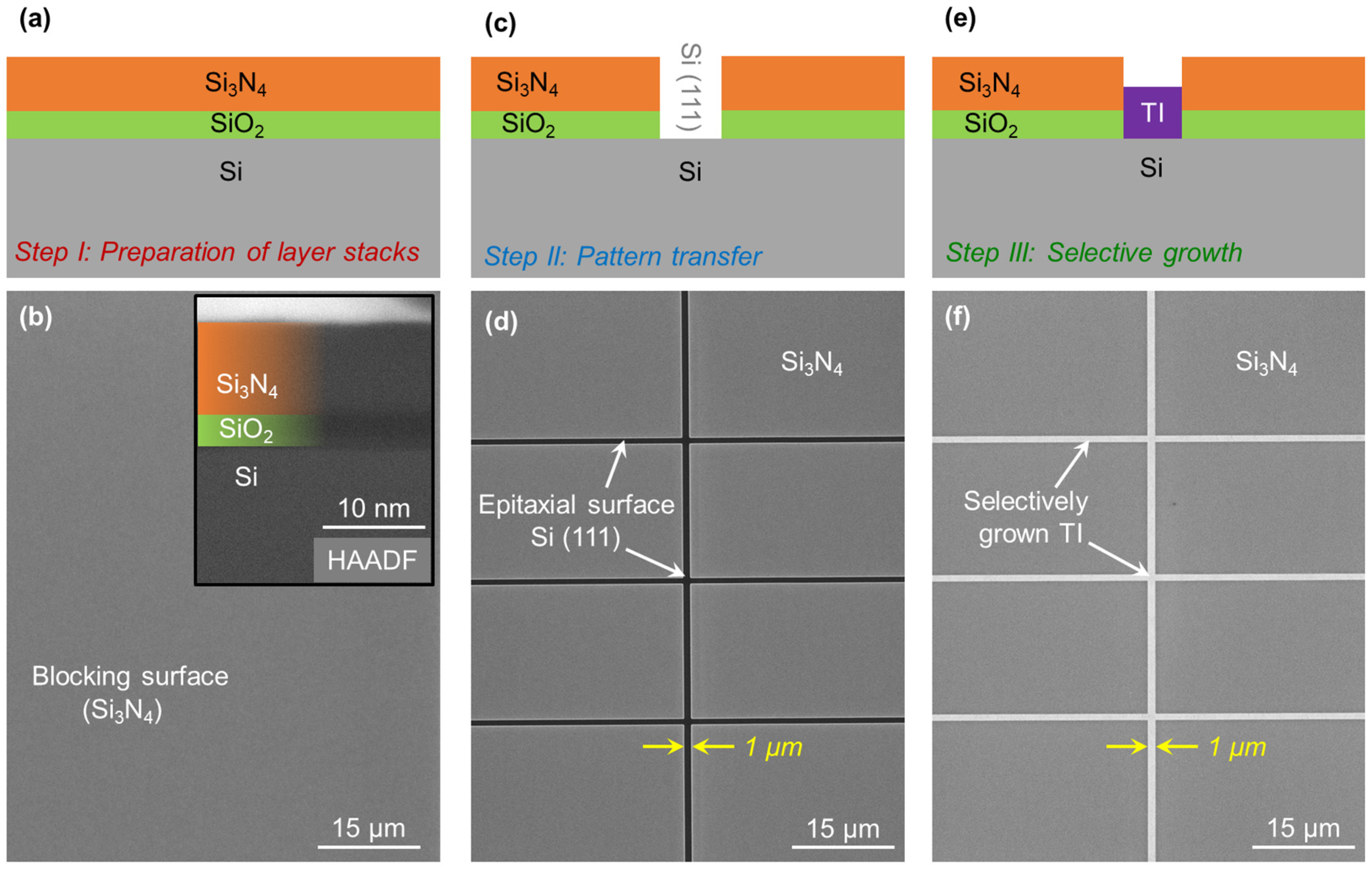 Nanomaterials 13 00354 g001
