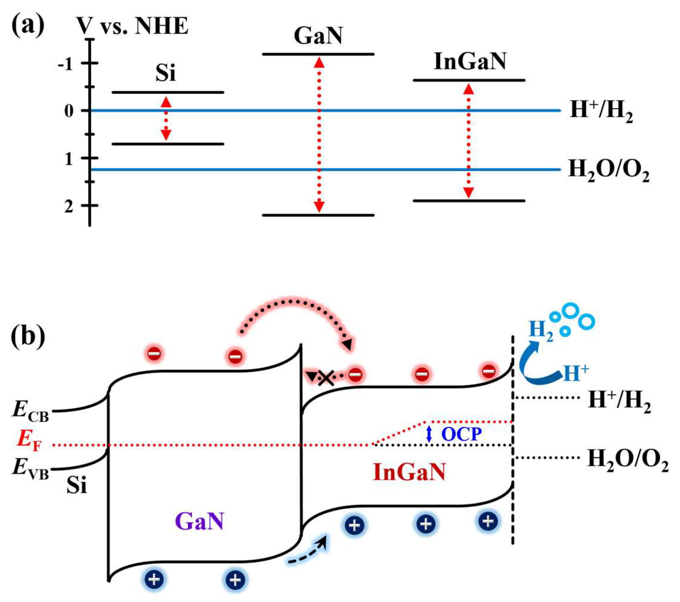Nanomaterials 13 00358 g004