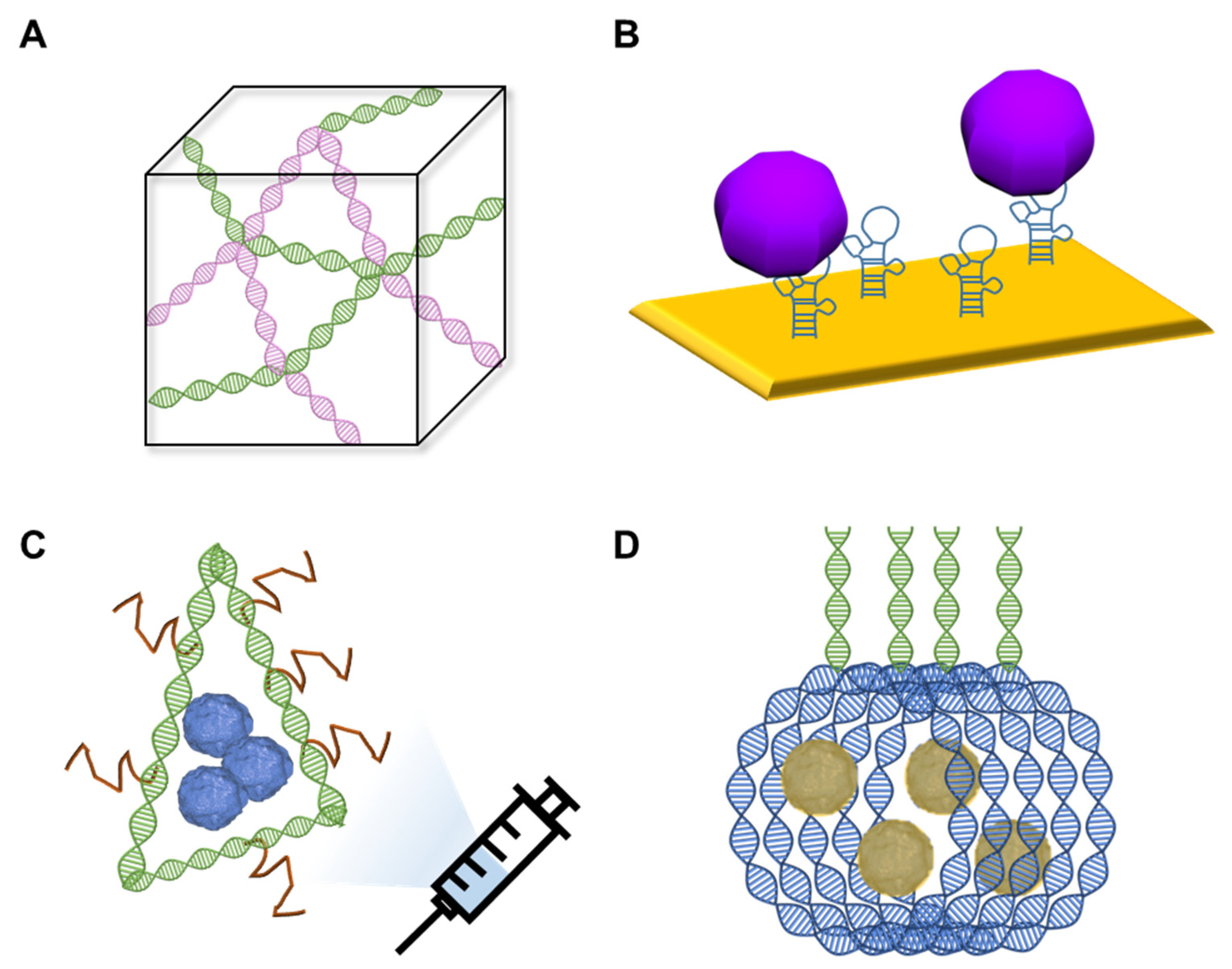 Nanomaterials 13 00361 g001