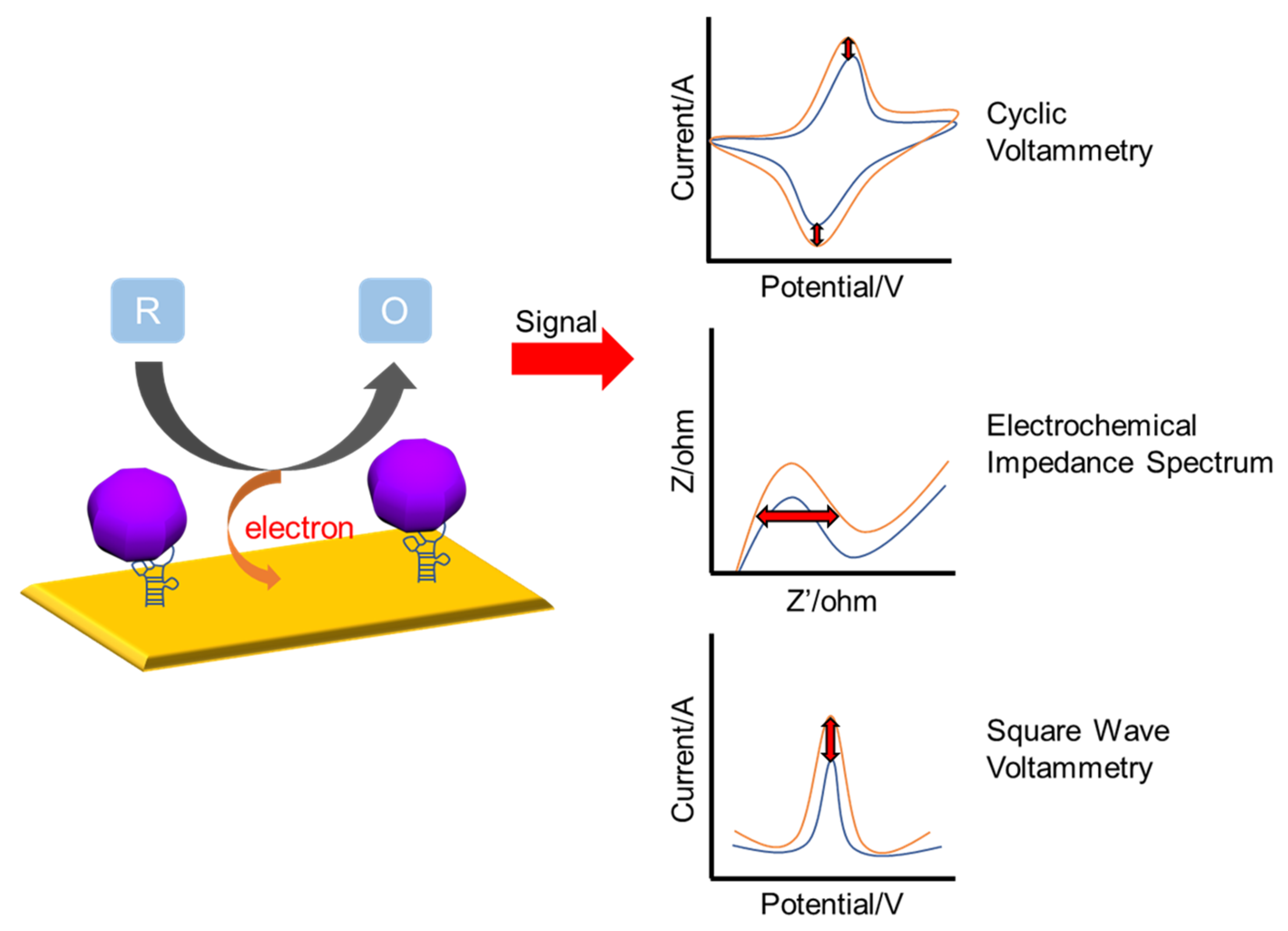 Nanomaterials 13 00361 g002