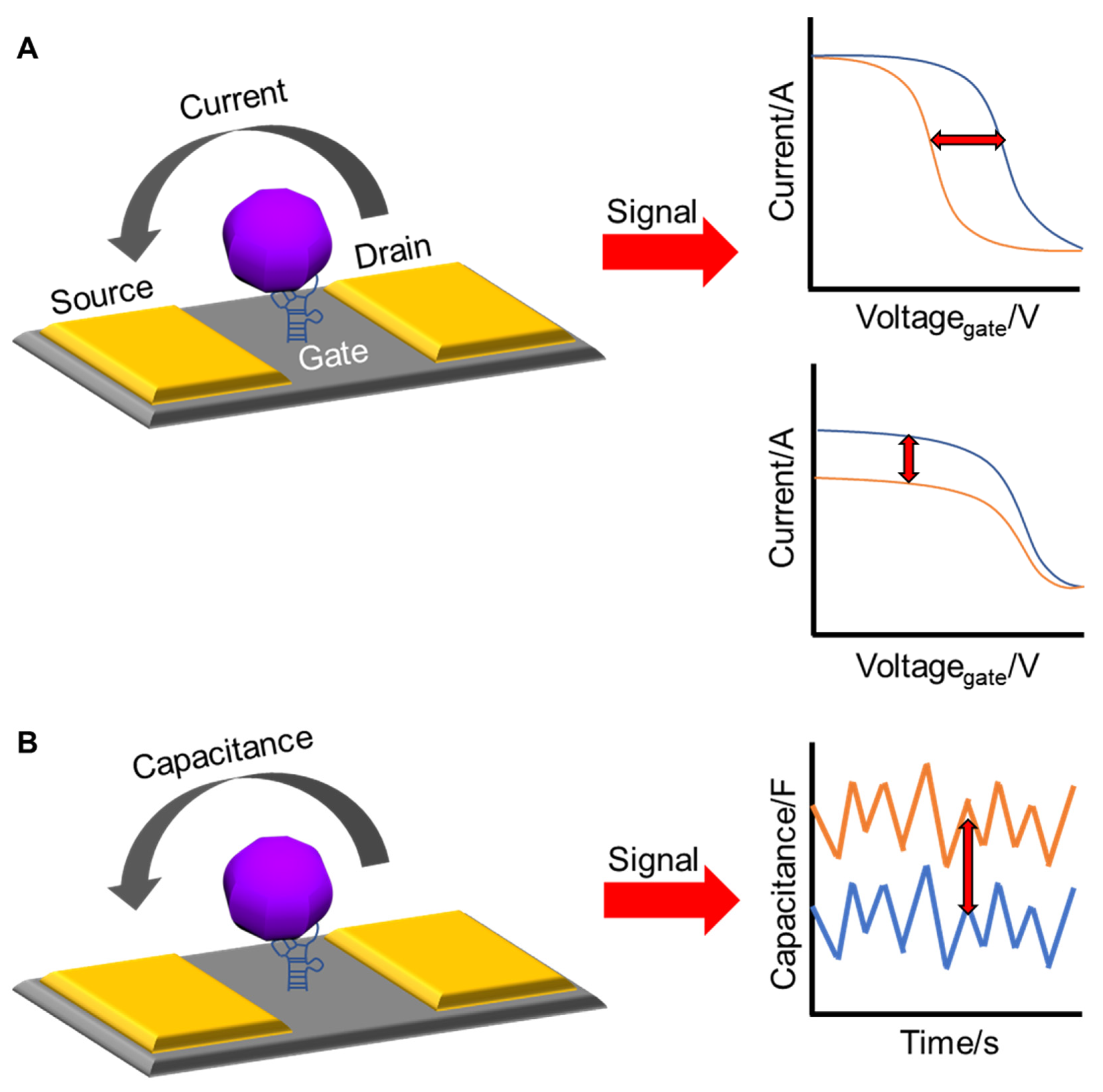 Nanomaterials 13 00361 g004