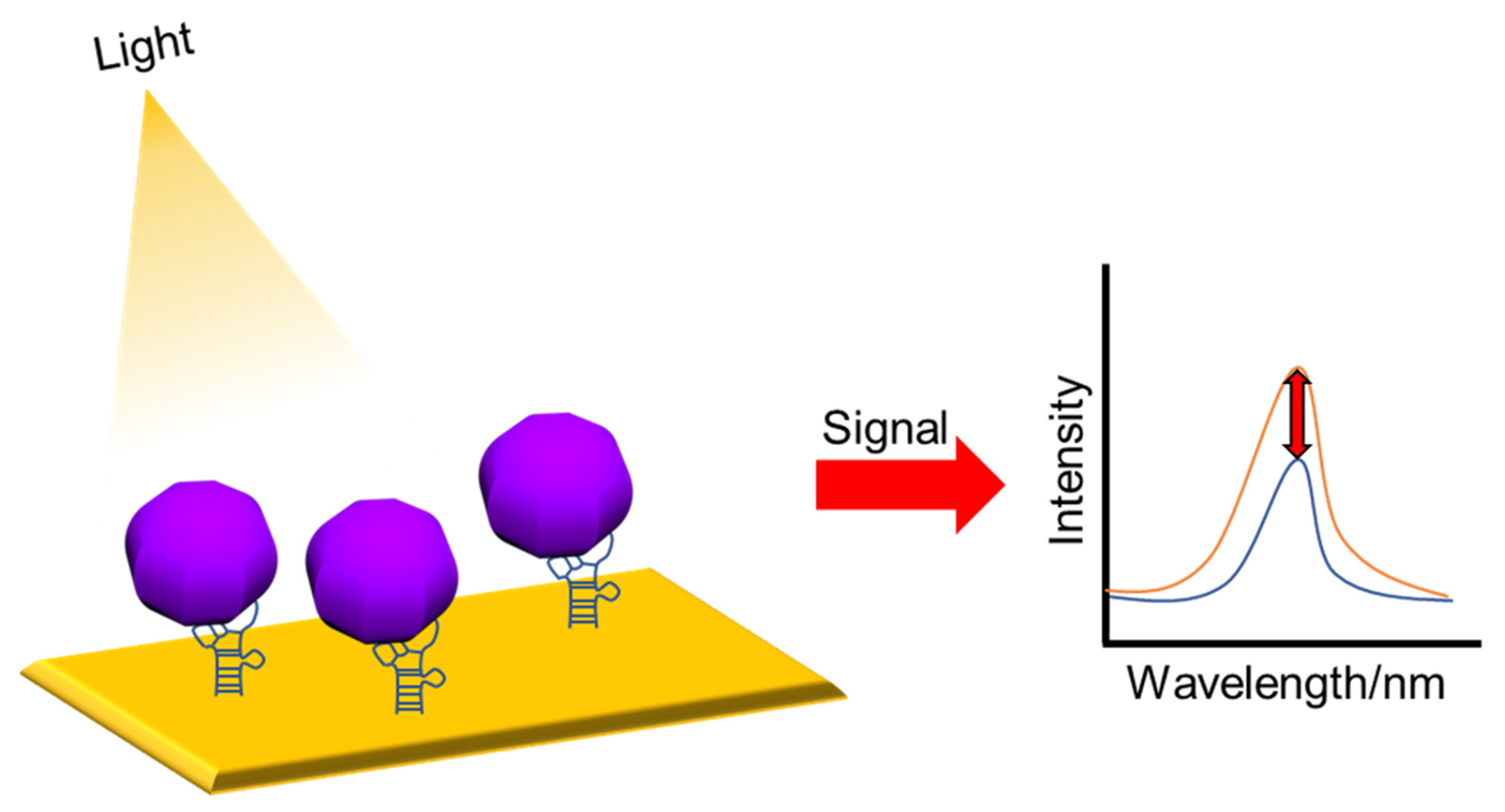 Nanomaterials 13 00361 g006