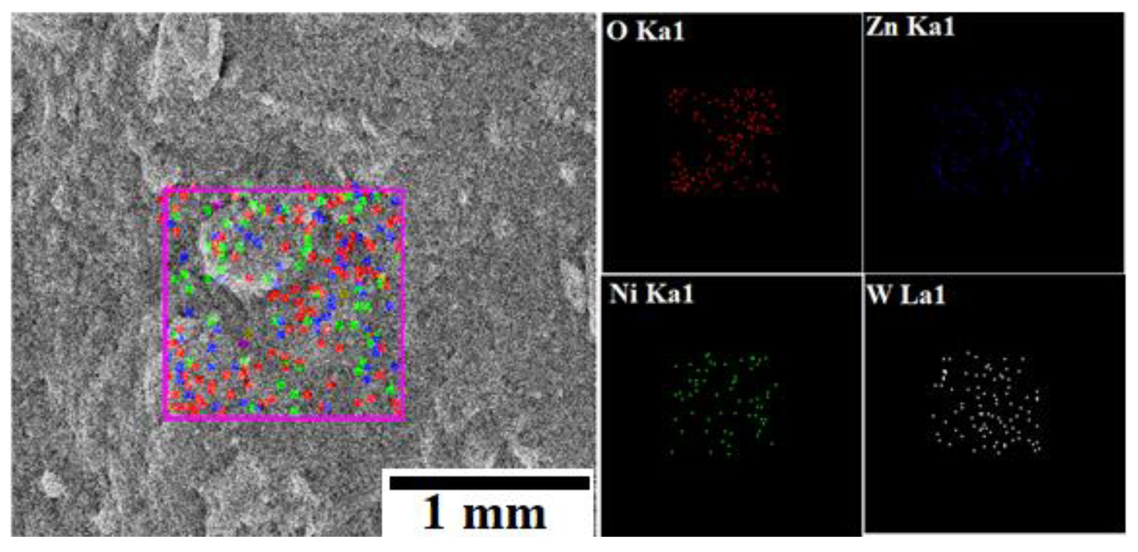 Nanomaterials 13 00362 g004