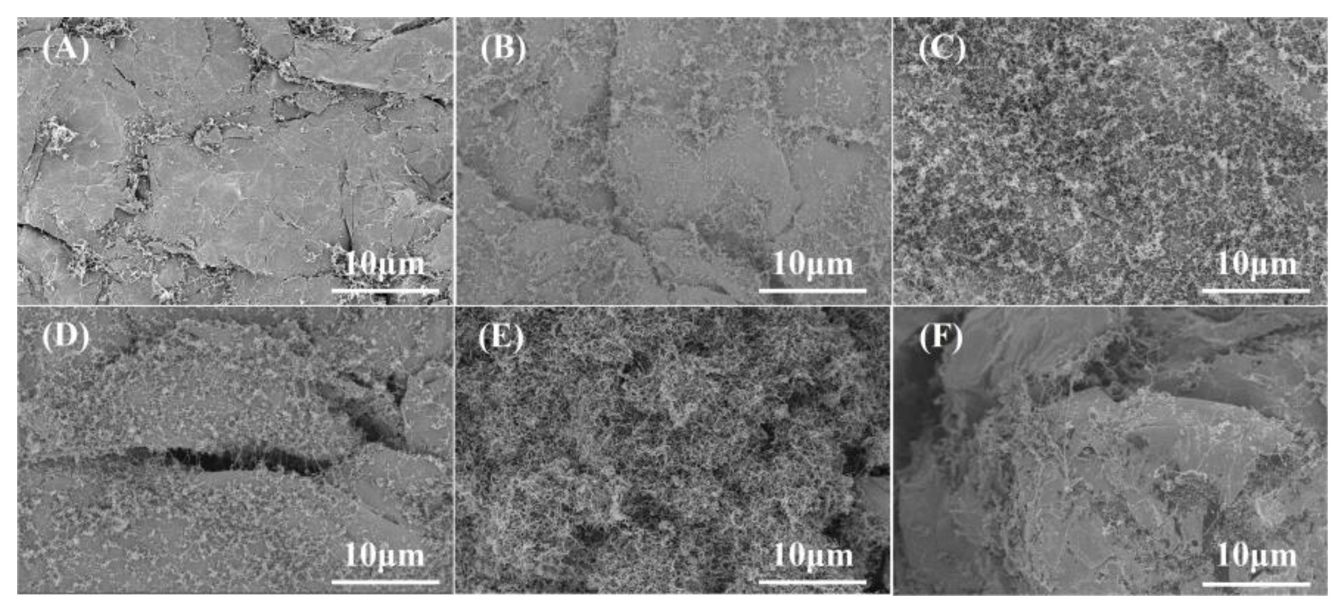 Nanomaterials 13 00365 g003 Nanomaterials 13 00365 g003