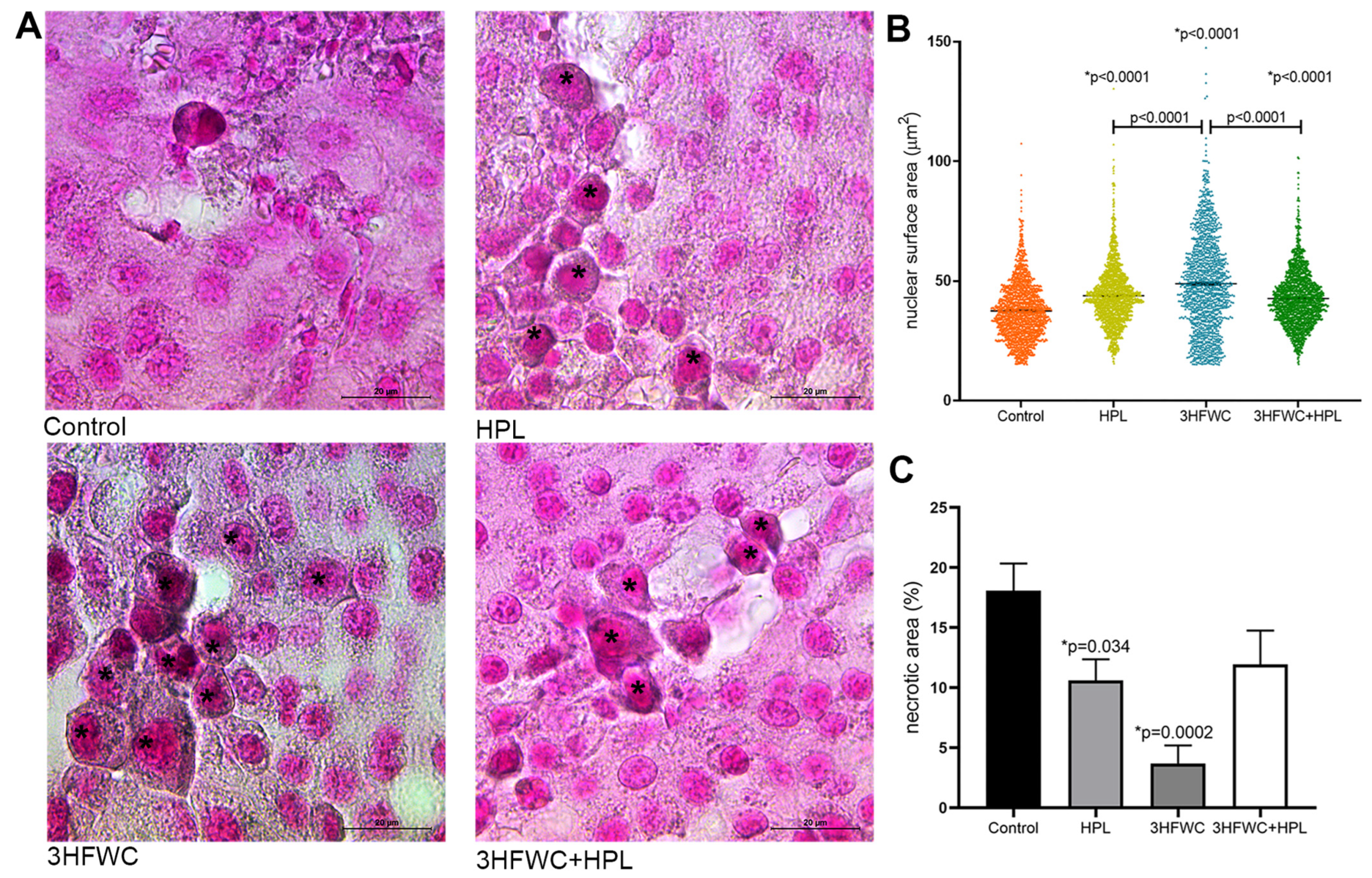 Nanomaterials 13 00372 g004