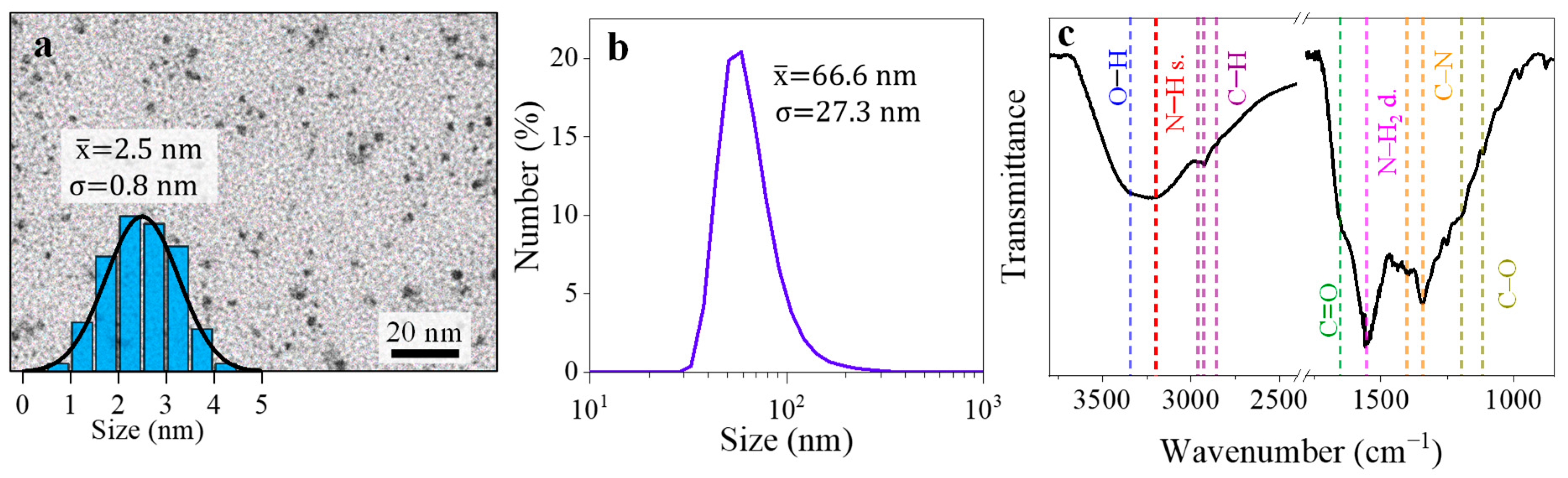 Nanomaterials 13 00374 g001