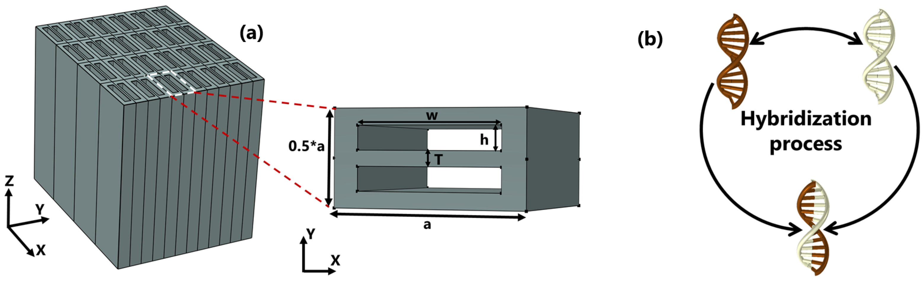 Nanomaterials 13 00375 g001