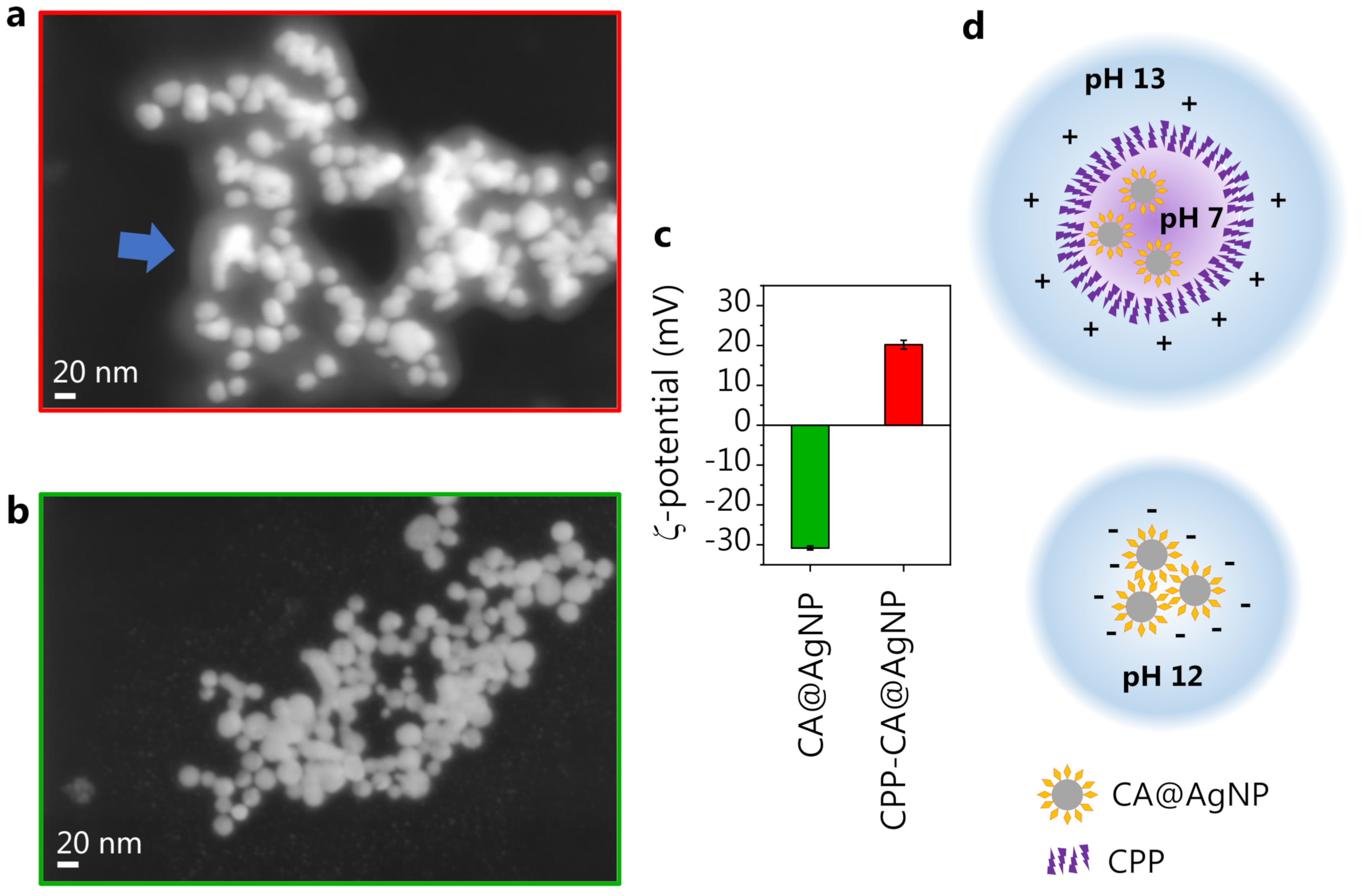 Nanomaterials 13 00377 g005
