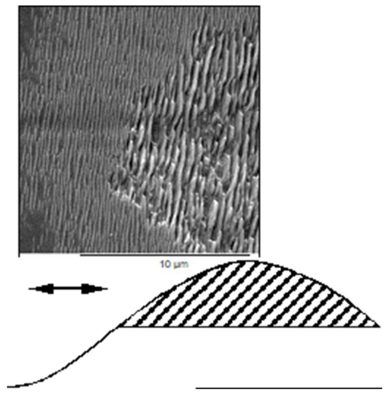 Nanomaterials 13 00379 g012