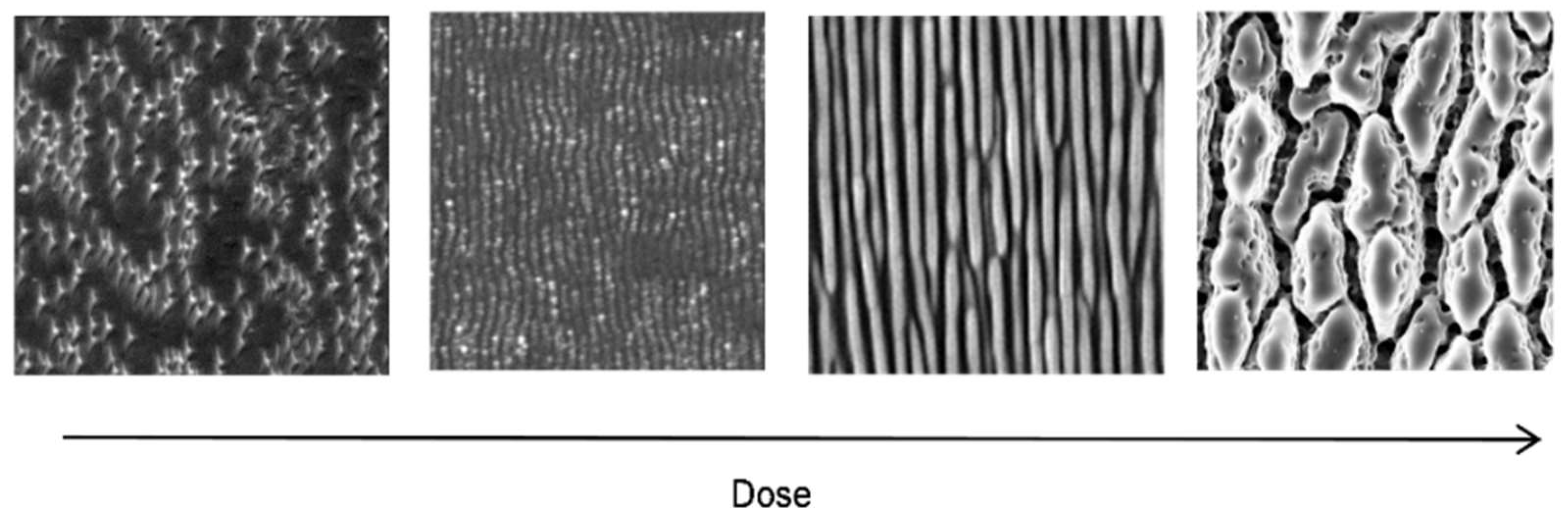 Nanomaterials 13 00379 g013