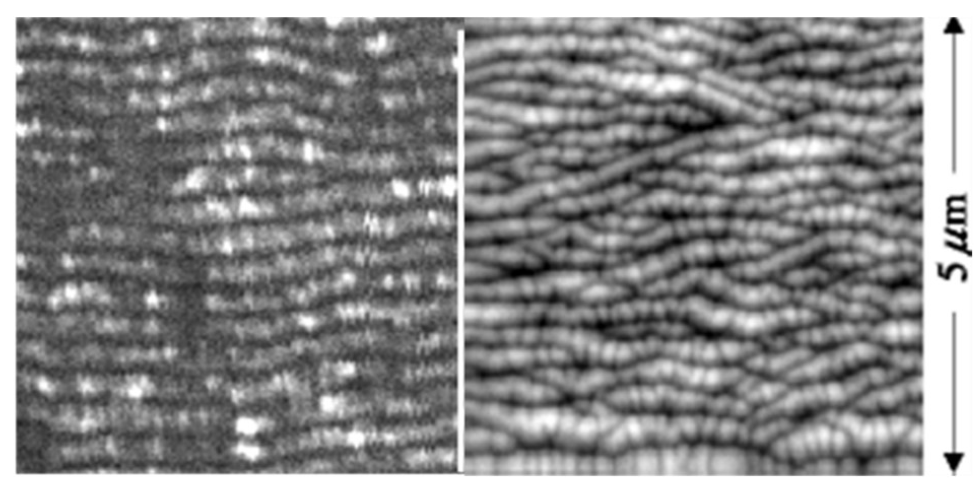 Nanomaterials 13 00379 g017