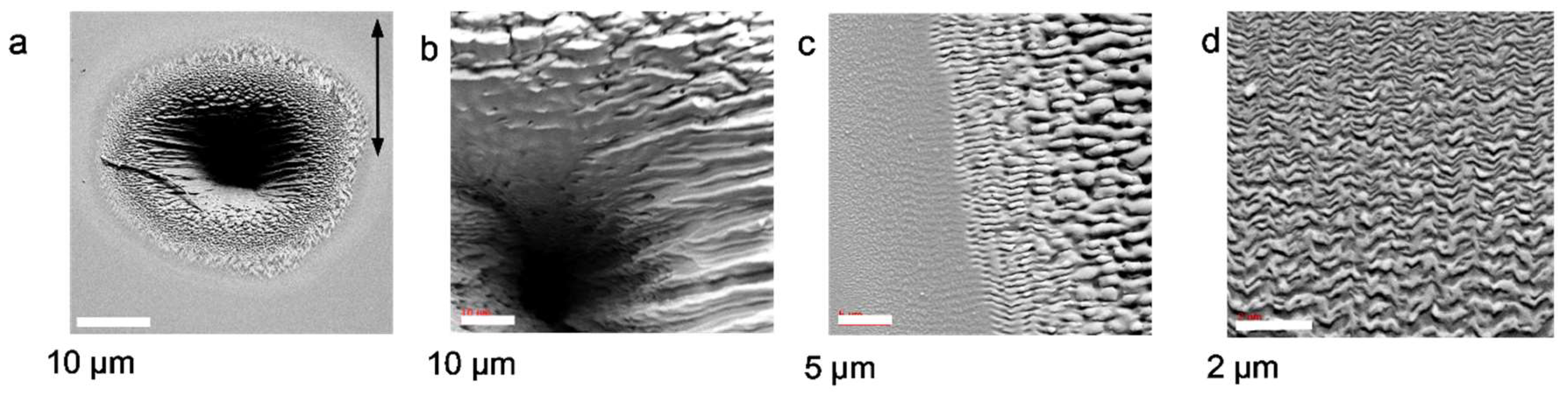 Nanomaterials 13 00379 g023