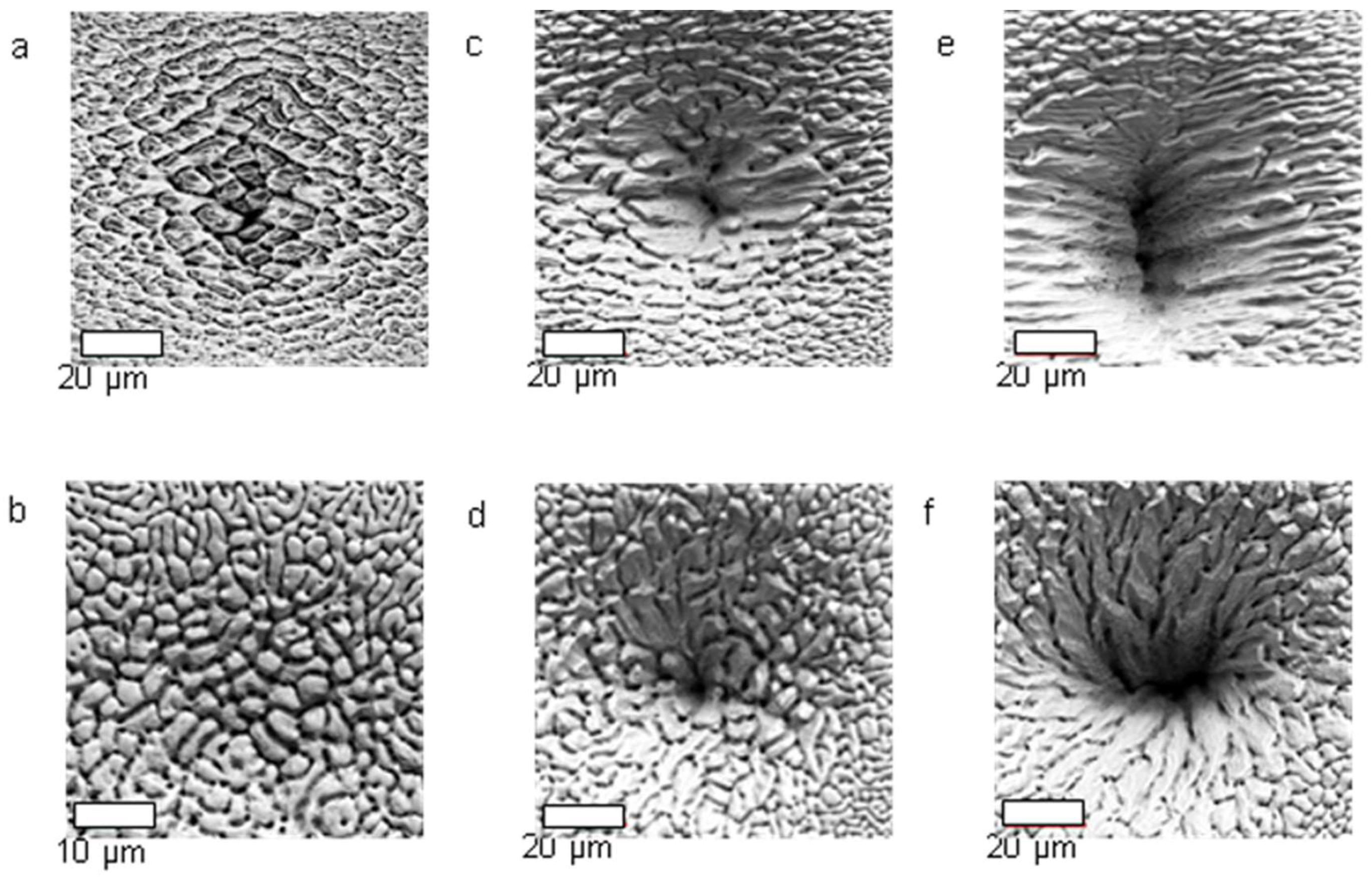 Nanomaterials 13 00379 g025