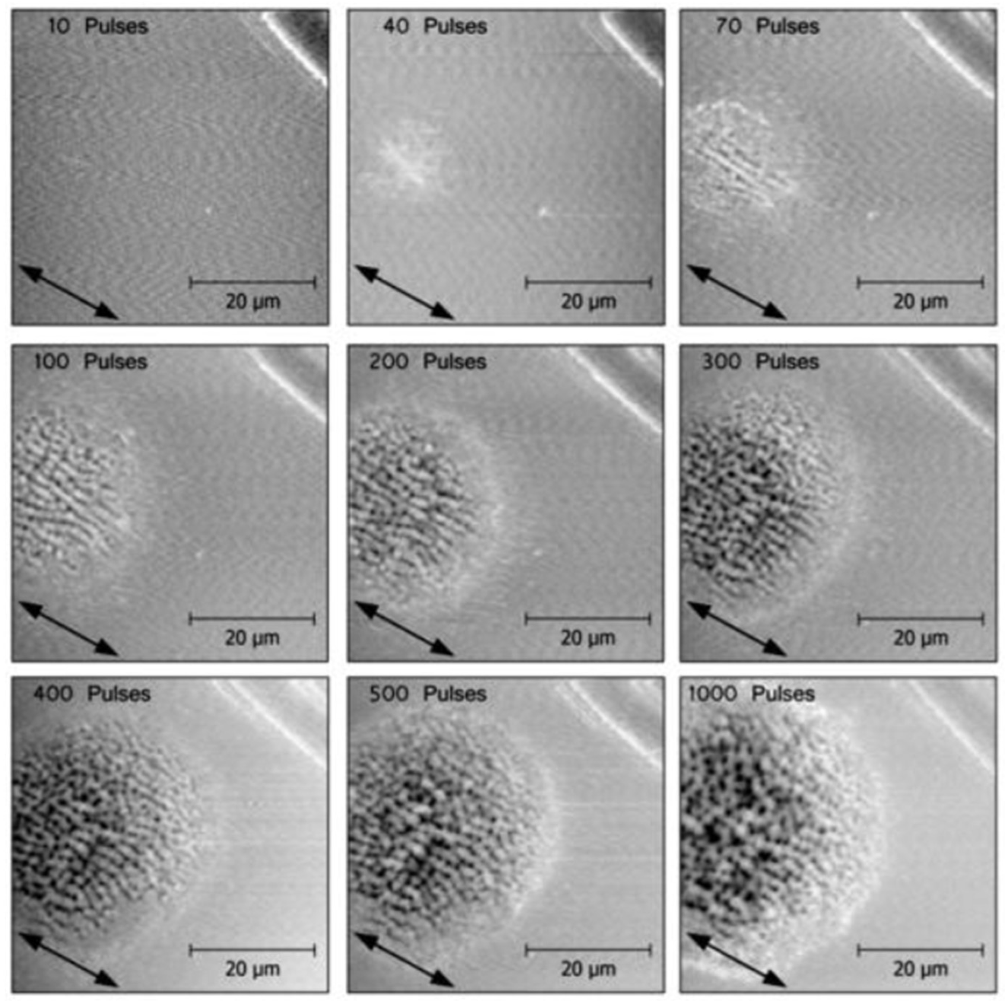 Nanomaterials 13 00379 g031