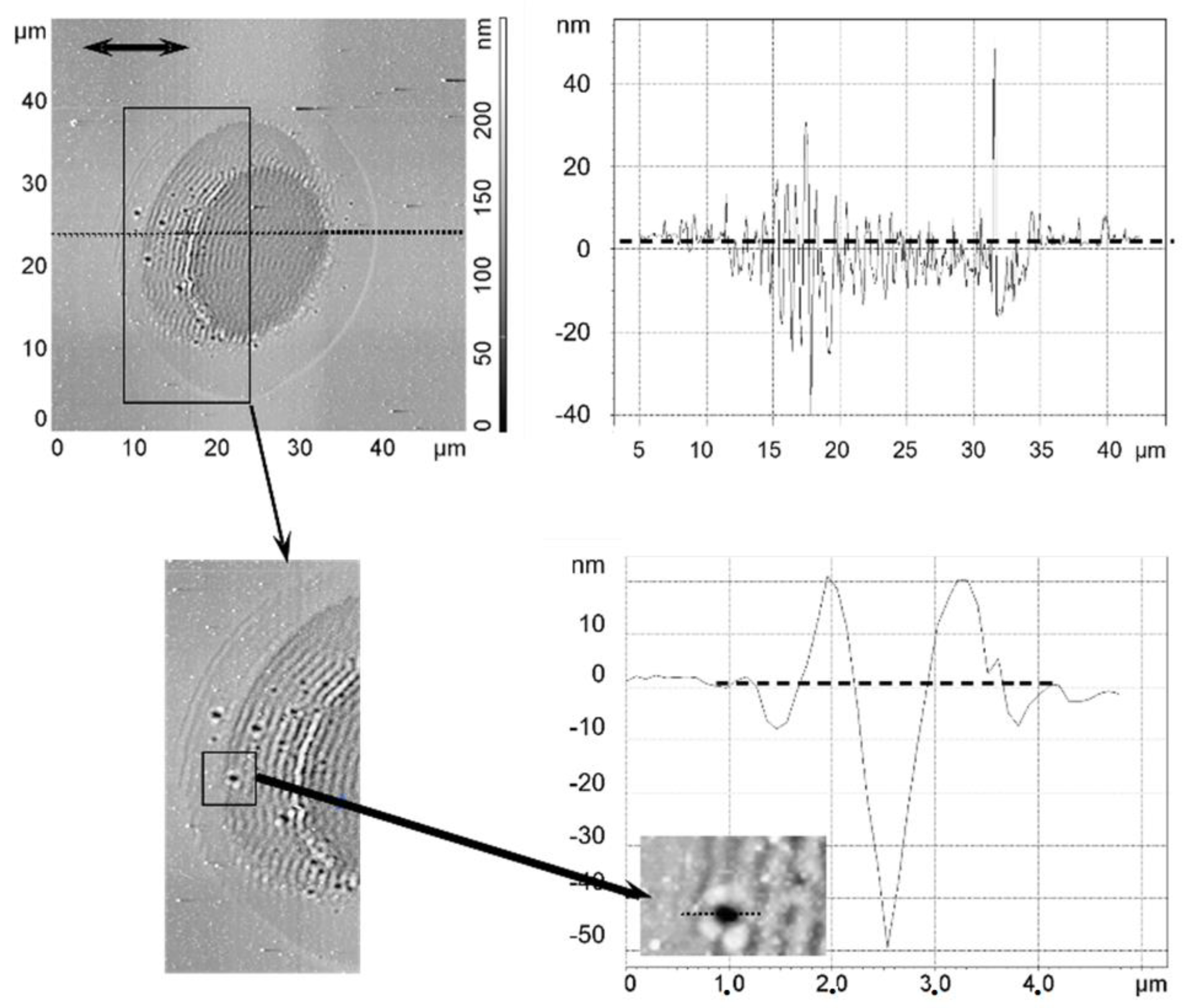 Nanomaterials 13 00379 g032