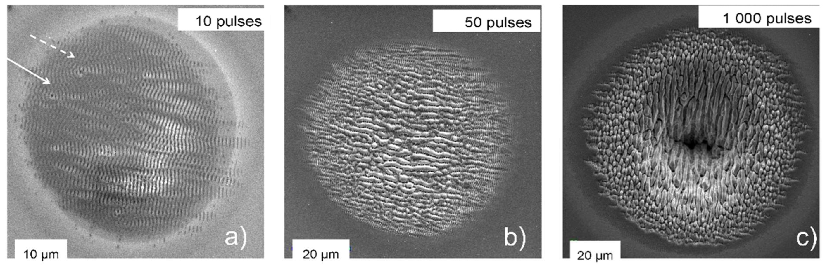 Nanomaterials 13 00379 g033