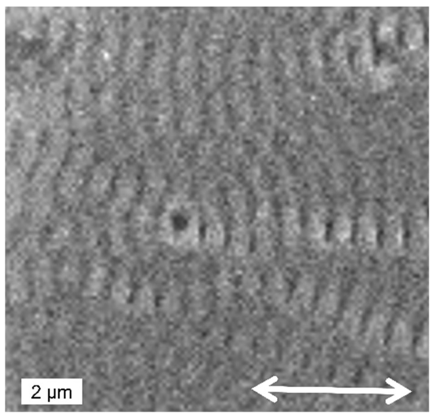 Nanomaterials 13 00379 g034