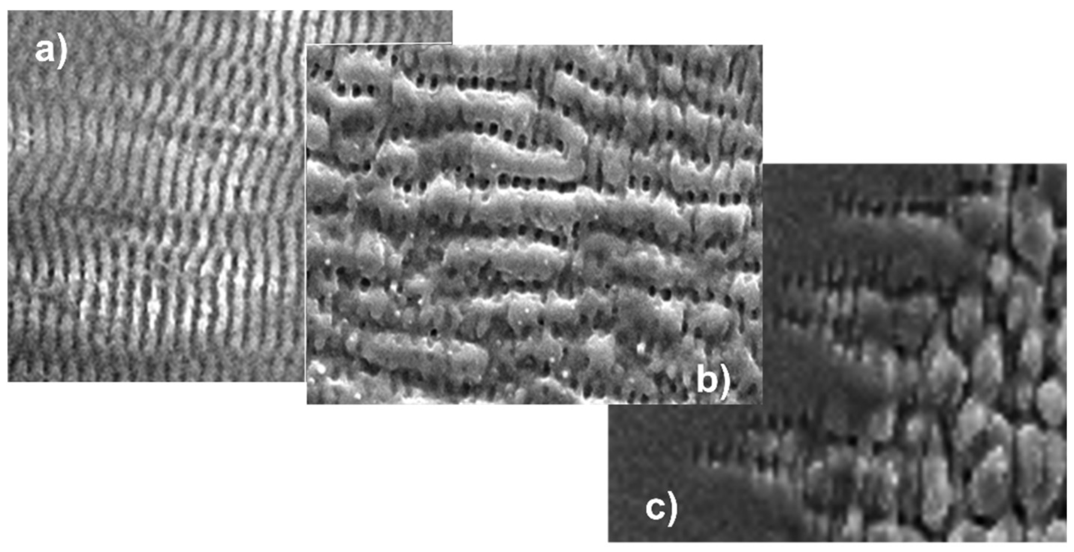 Nanomaterials 13 00379 g035