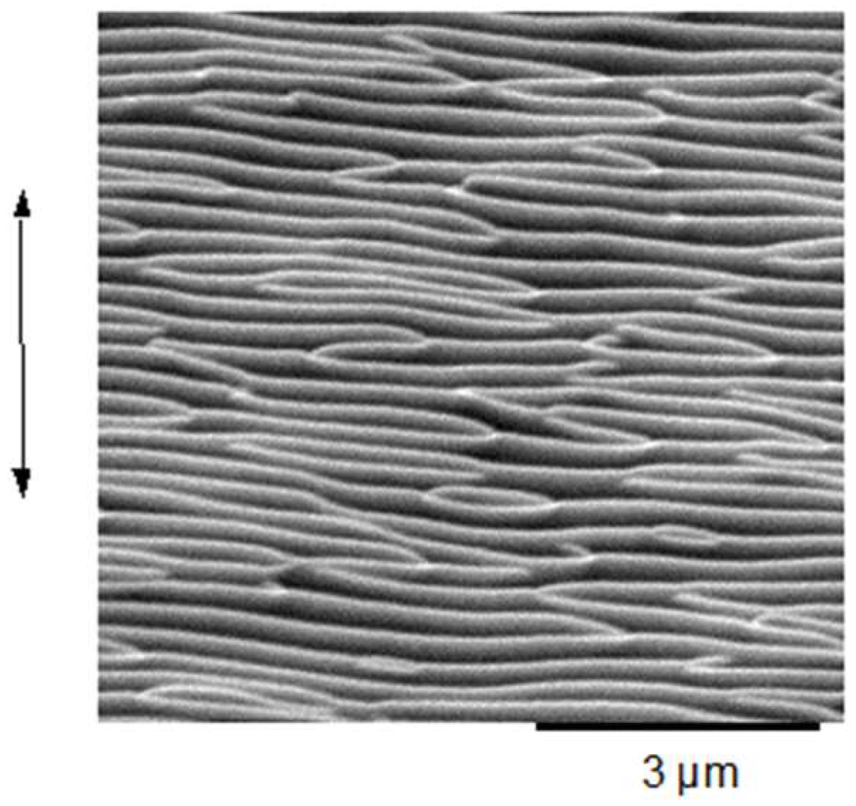 Nanomaterials 13 00379 g036