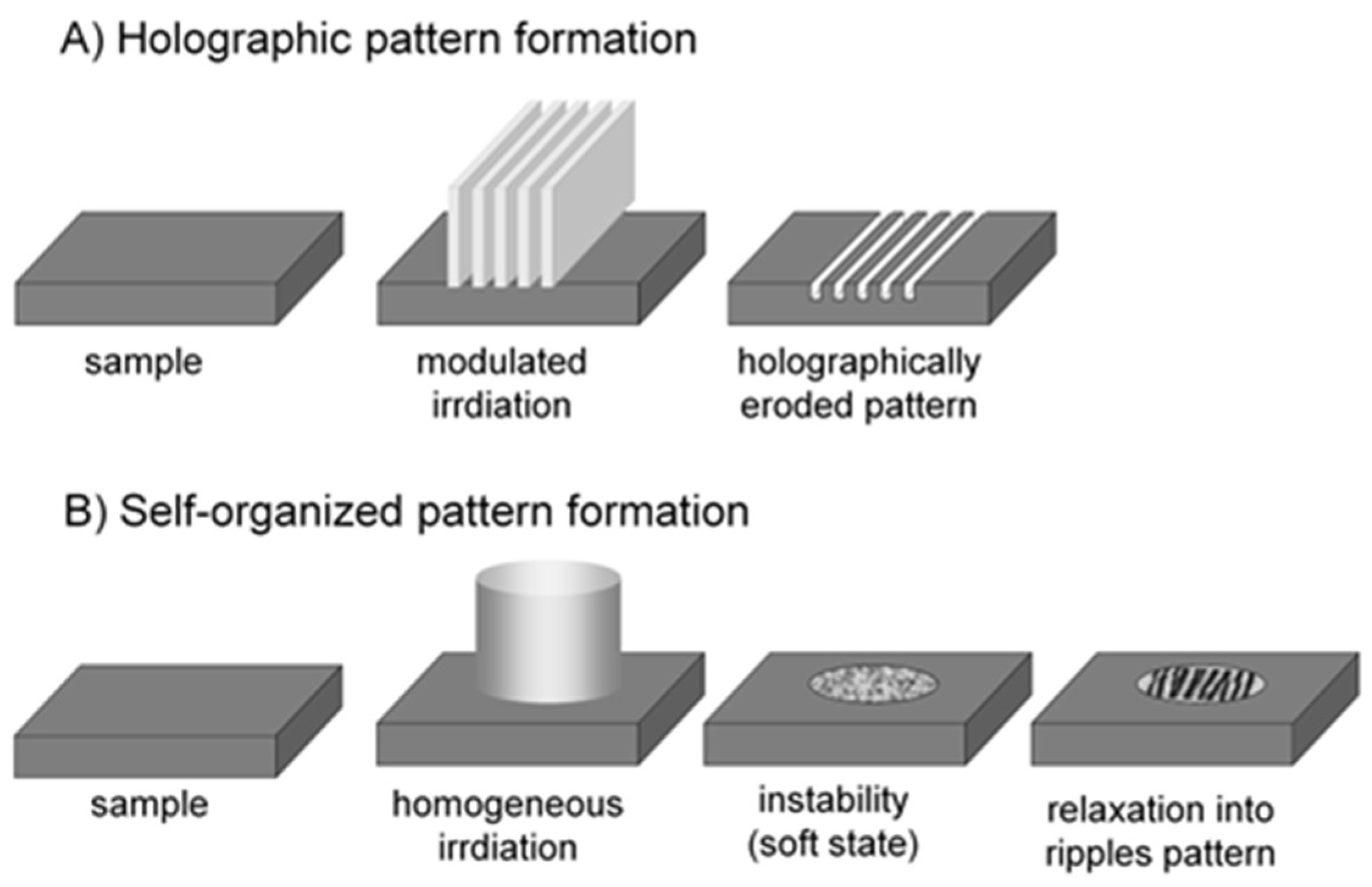 Nanomaterials 13 00379 g037
