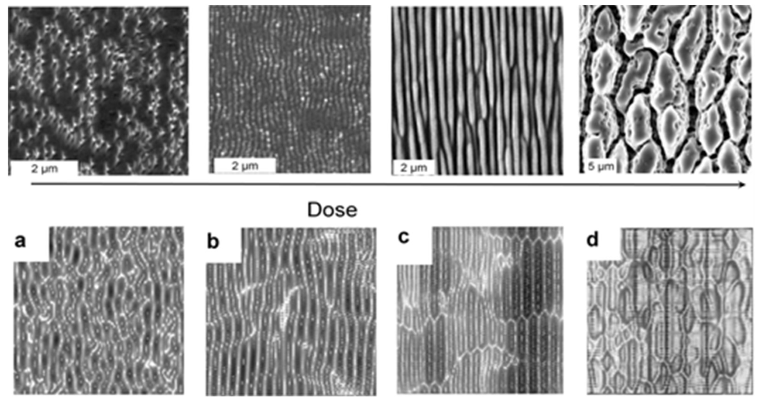 Nanomaterials 13 00379 g039