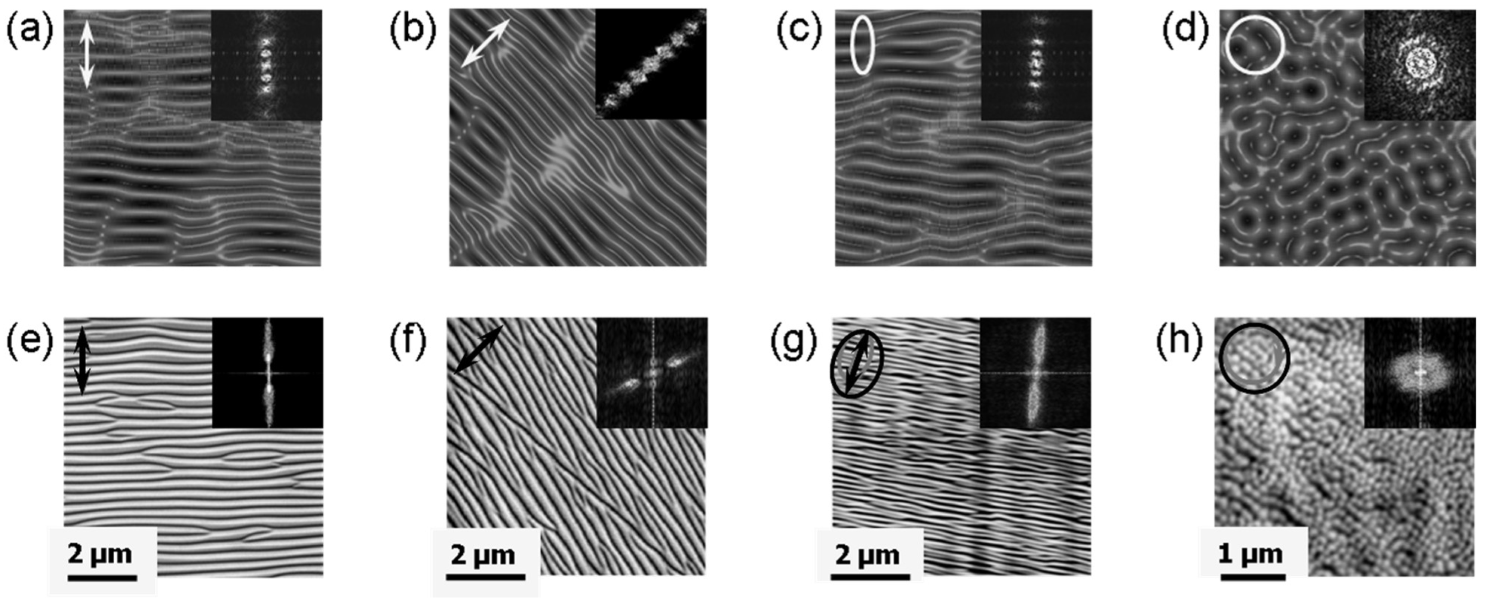 Nanomaterials 13 00379 g043