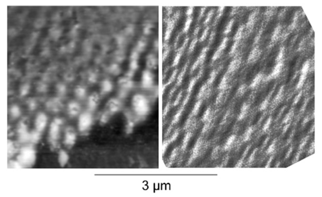 Nanomaterials 13 00379 g046