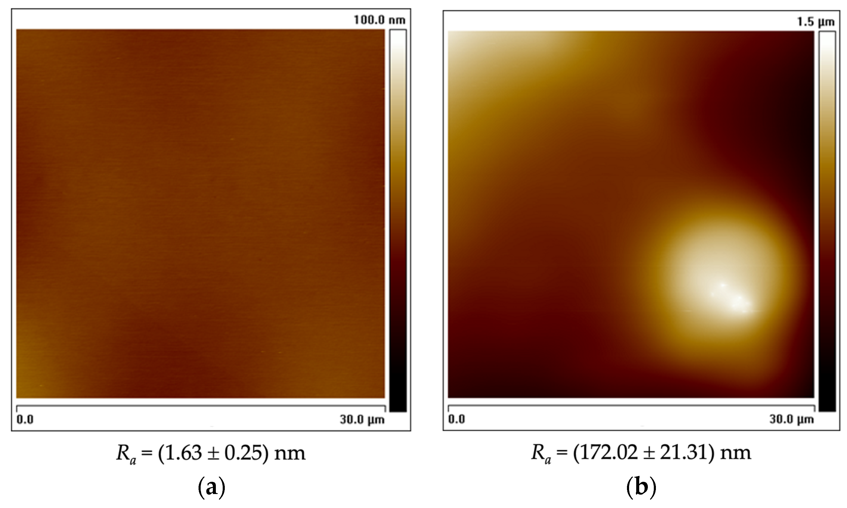 Nanomaterials 13 00381 g002