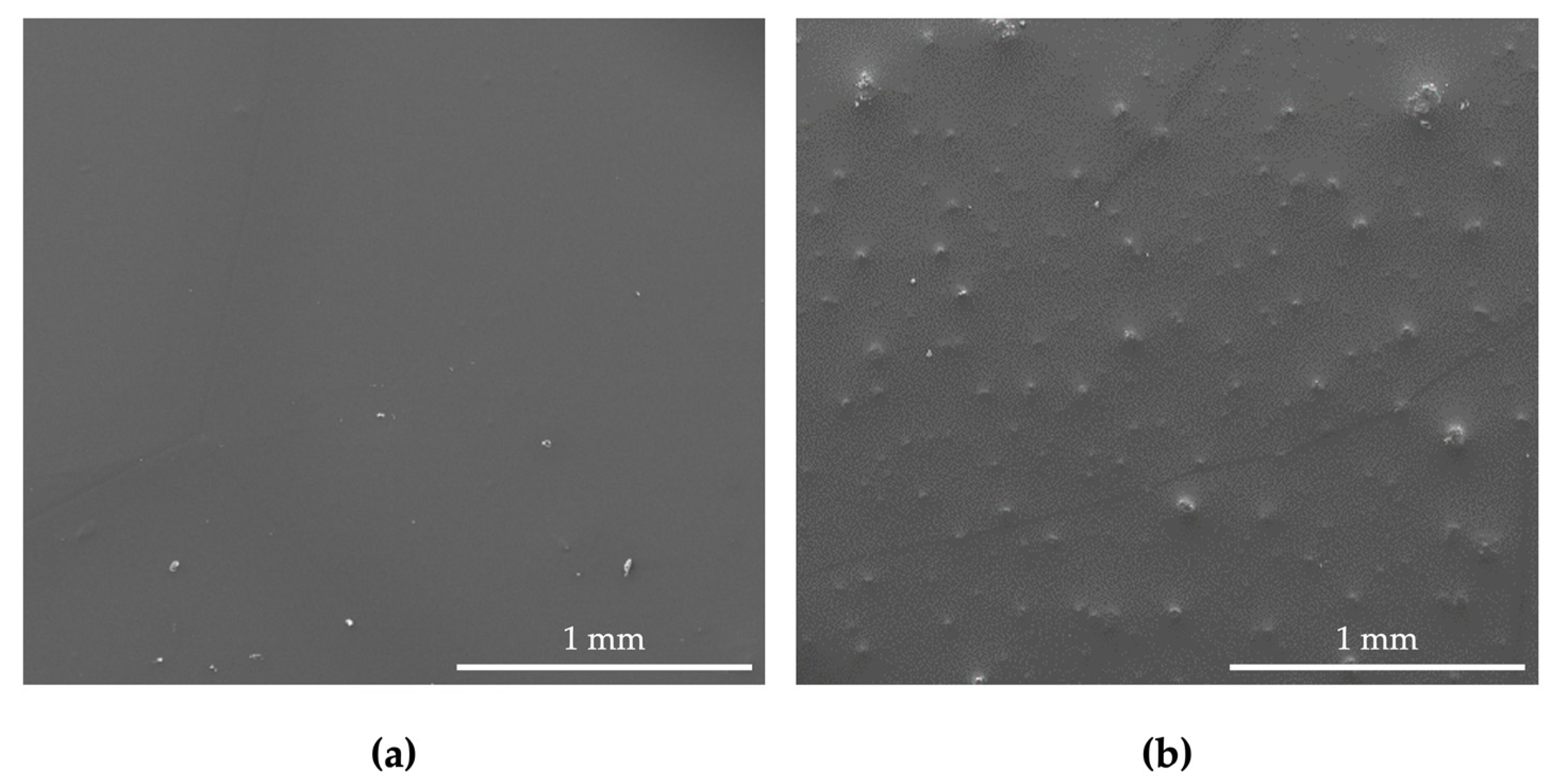 Nanomaterials 13 00381 g003