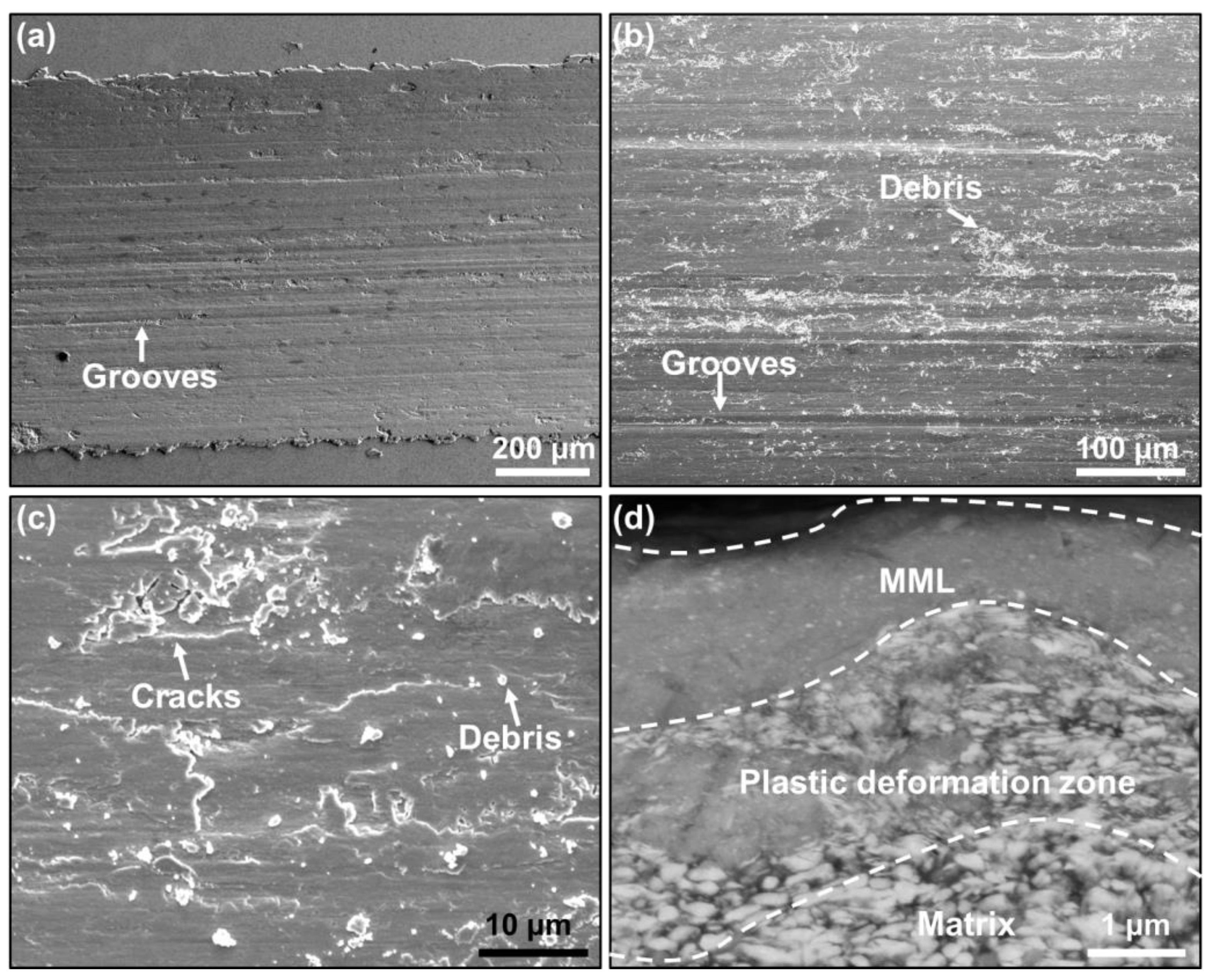 Nanomaterials 13 00386 g005