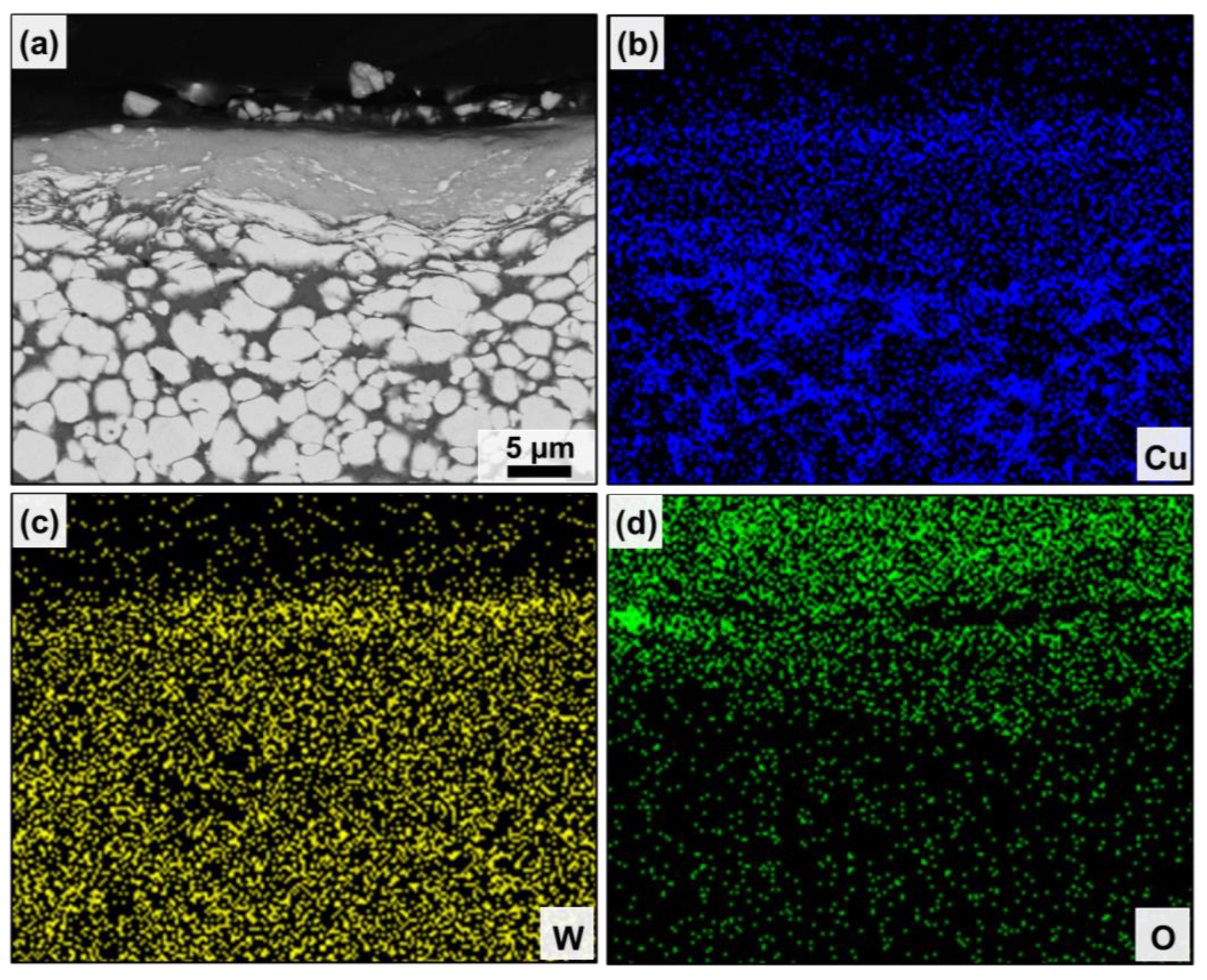 Nanomaterials 13 00386 g006
